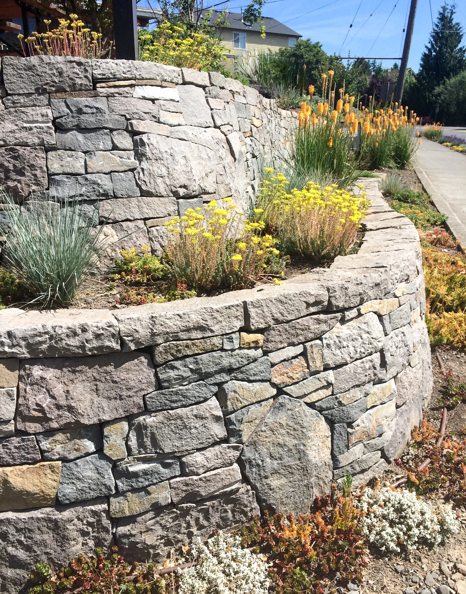 Boise Eliot Modern Pistils Landscape Design-6.jpg