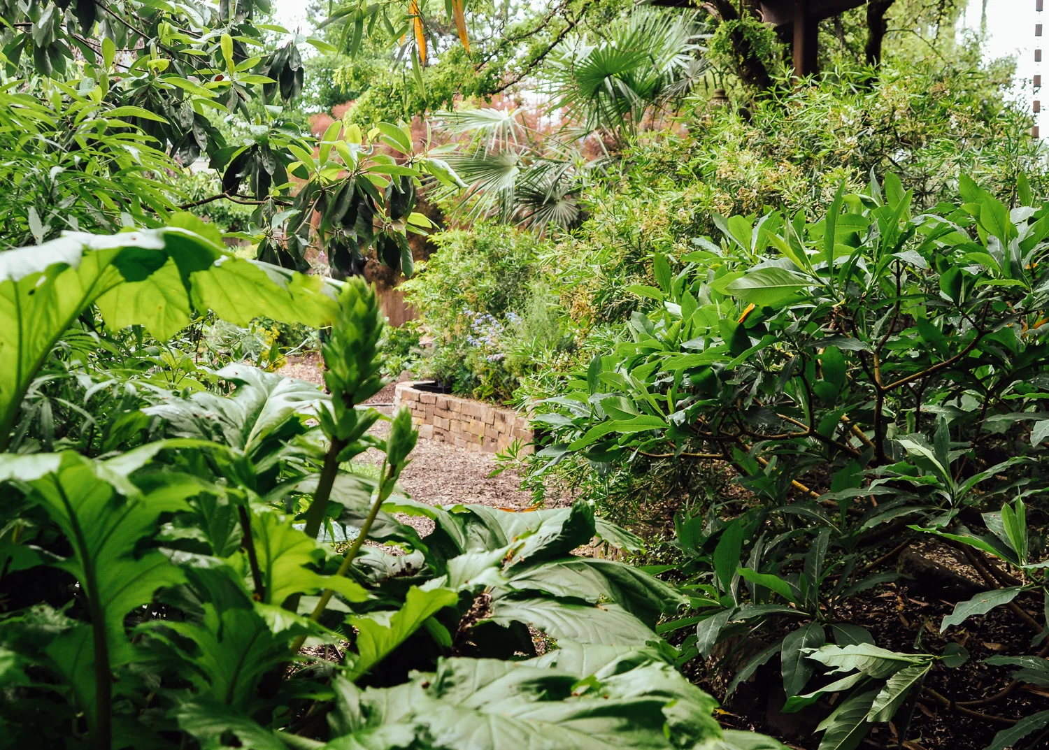 overlook - pistils landscape design-3.jpg