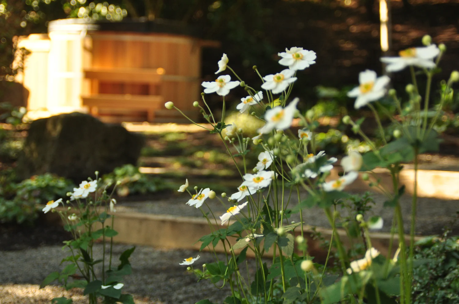 dunthorpe - pistils landscape design-11.jpg