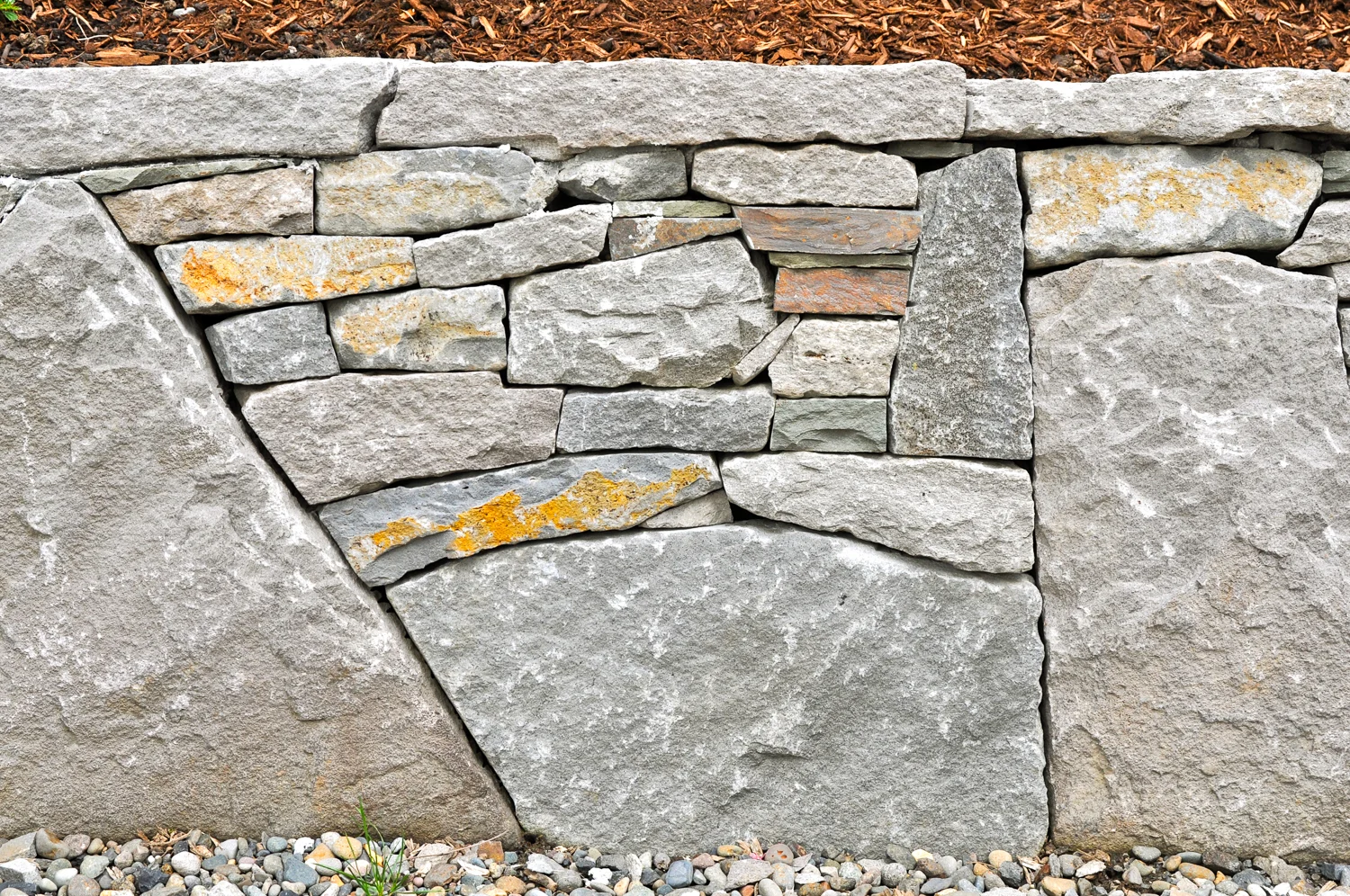 Multnomah Village - Pistils Landscape Design-3.jpg