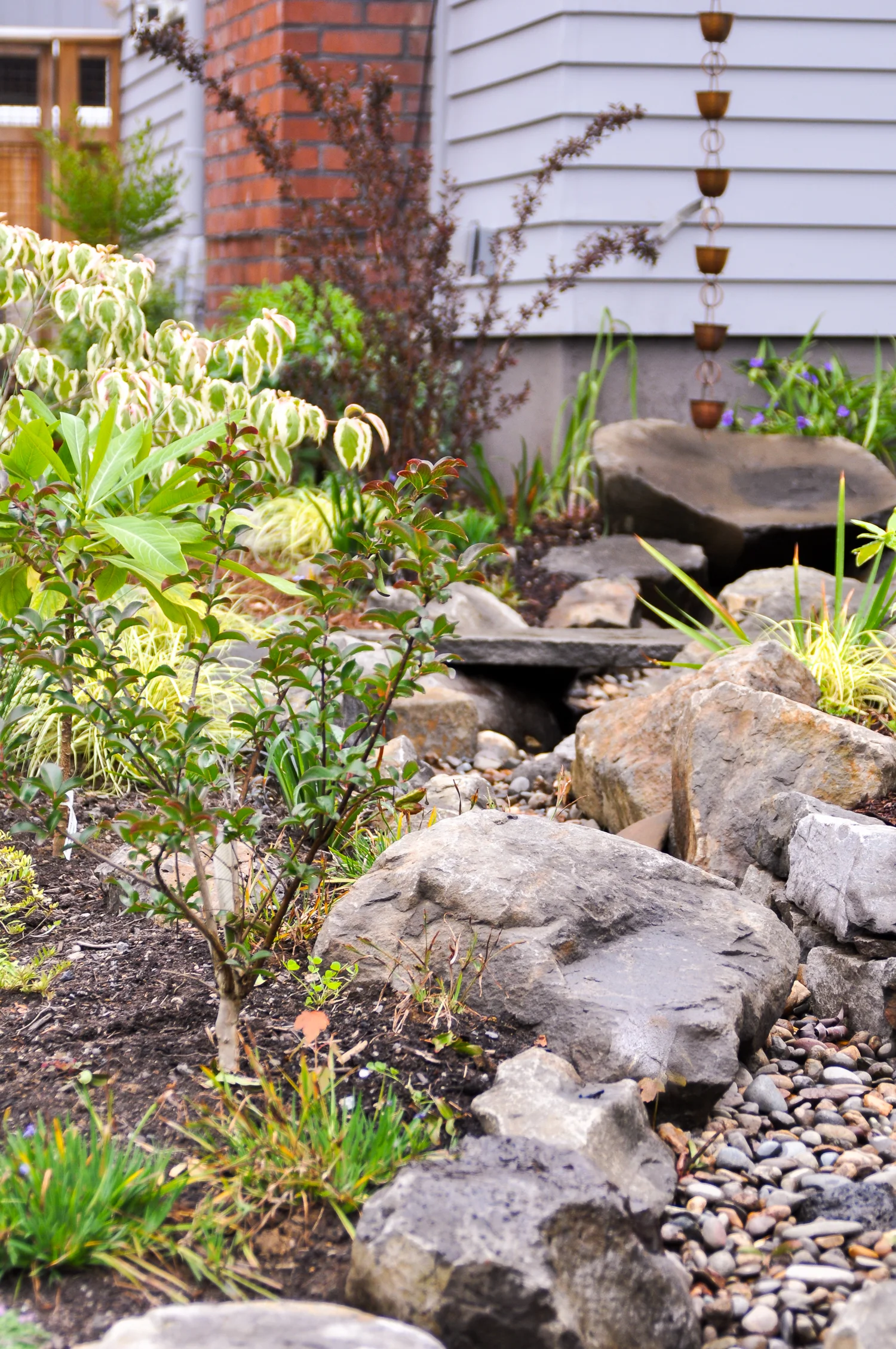 grant park - pistils landscape design-11.jpg
