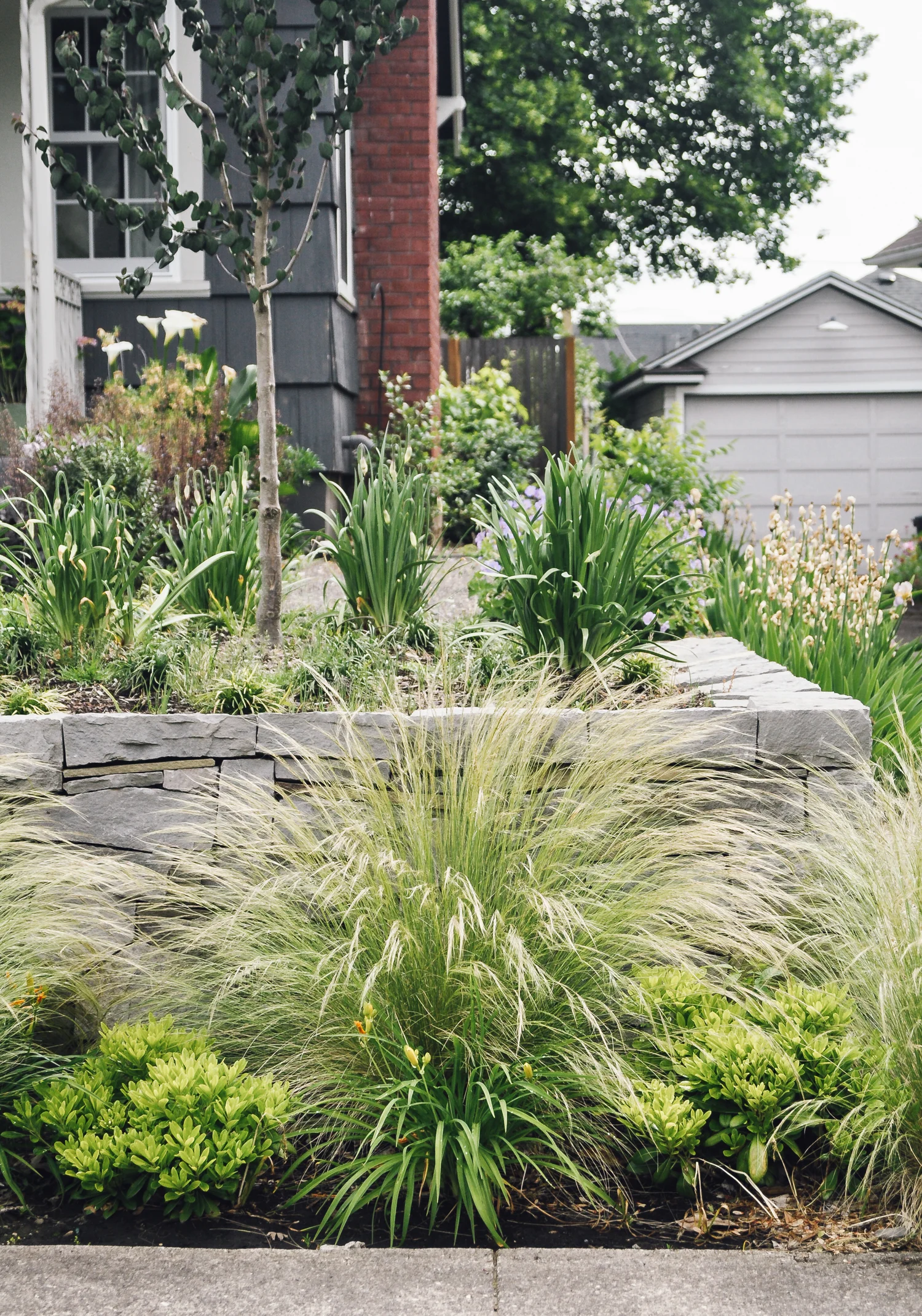 beaumont - pistils landscape design-3.jpg