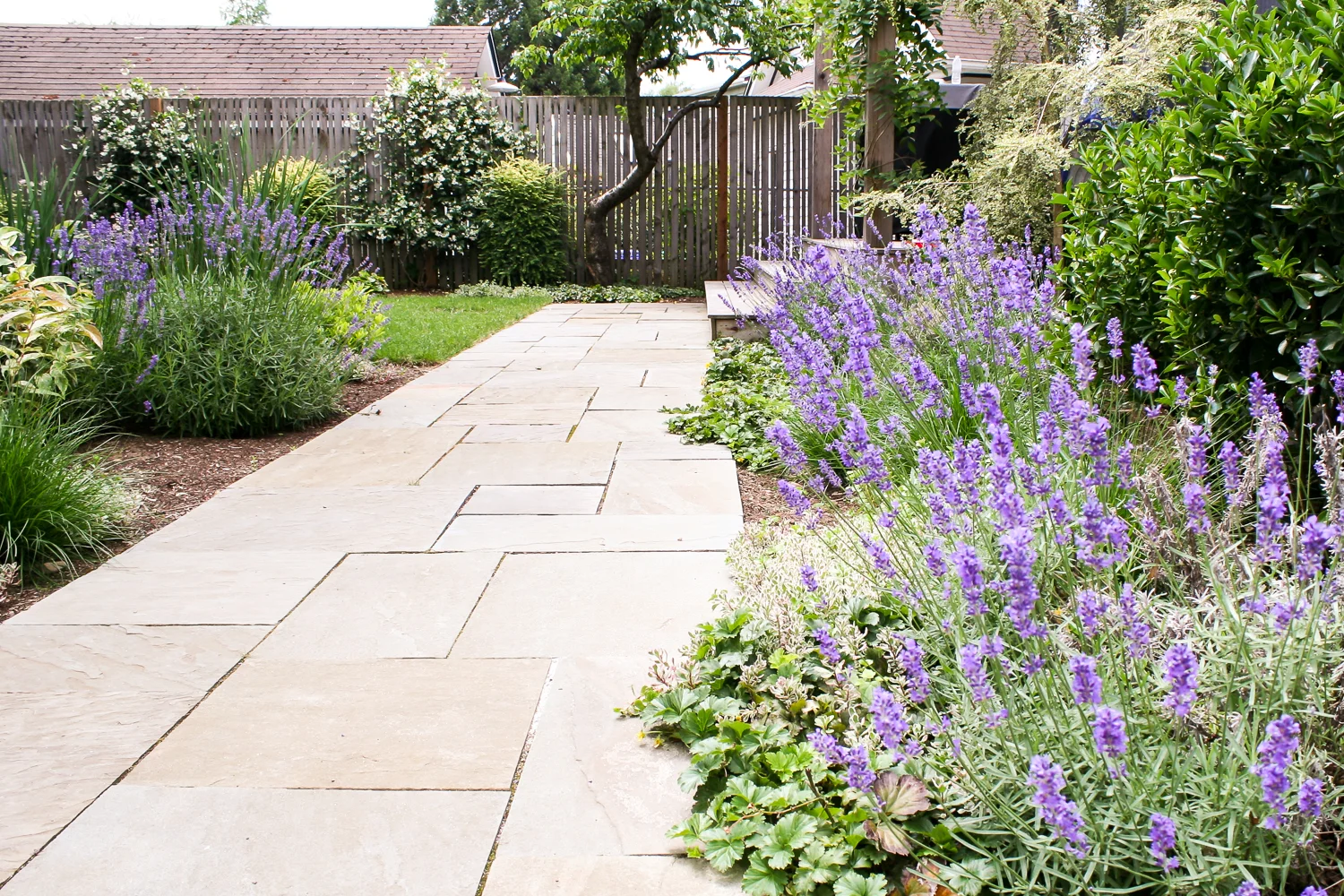 Beaumont - Pistils Landscape Design-26.jpg