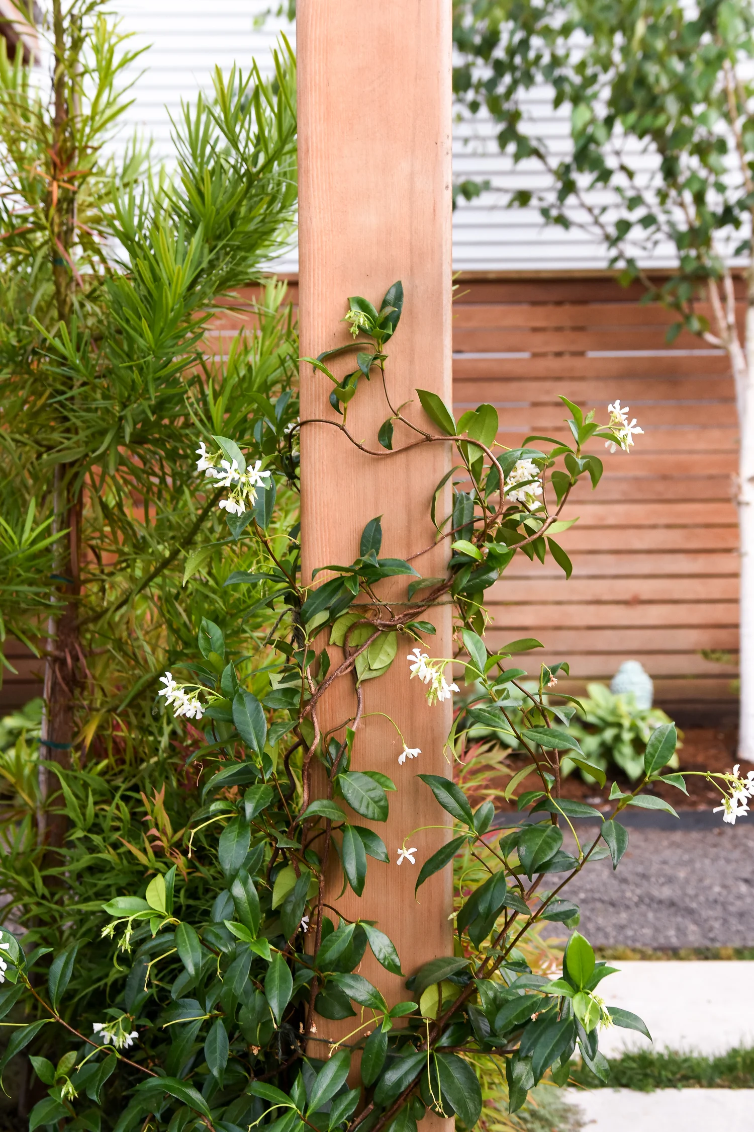 Overlook - Pistils Landscape Design-8.jpg