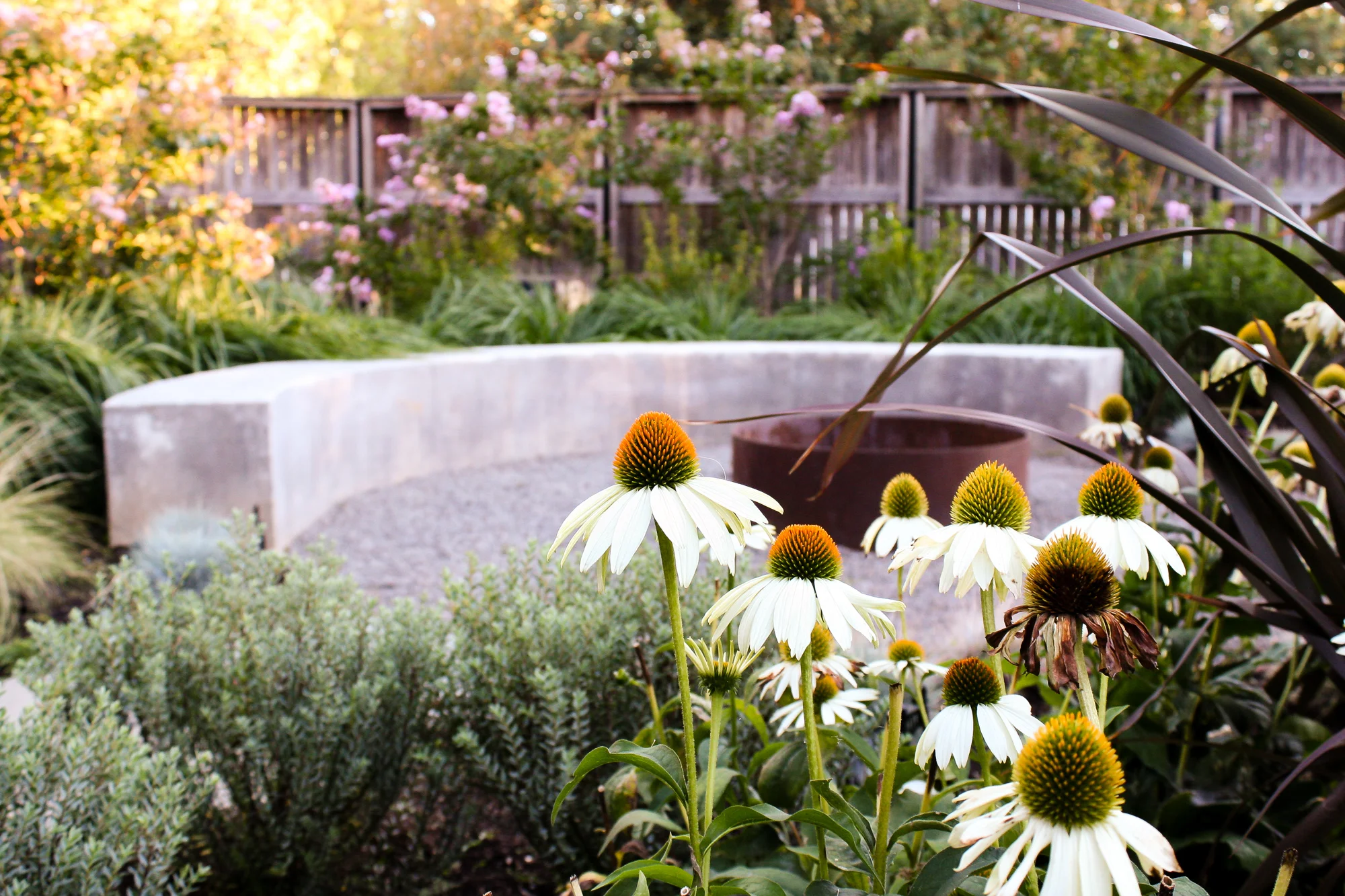 Mediterranean Pistils Landscape Design-19.jpg
