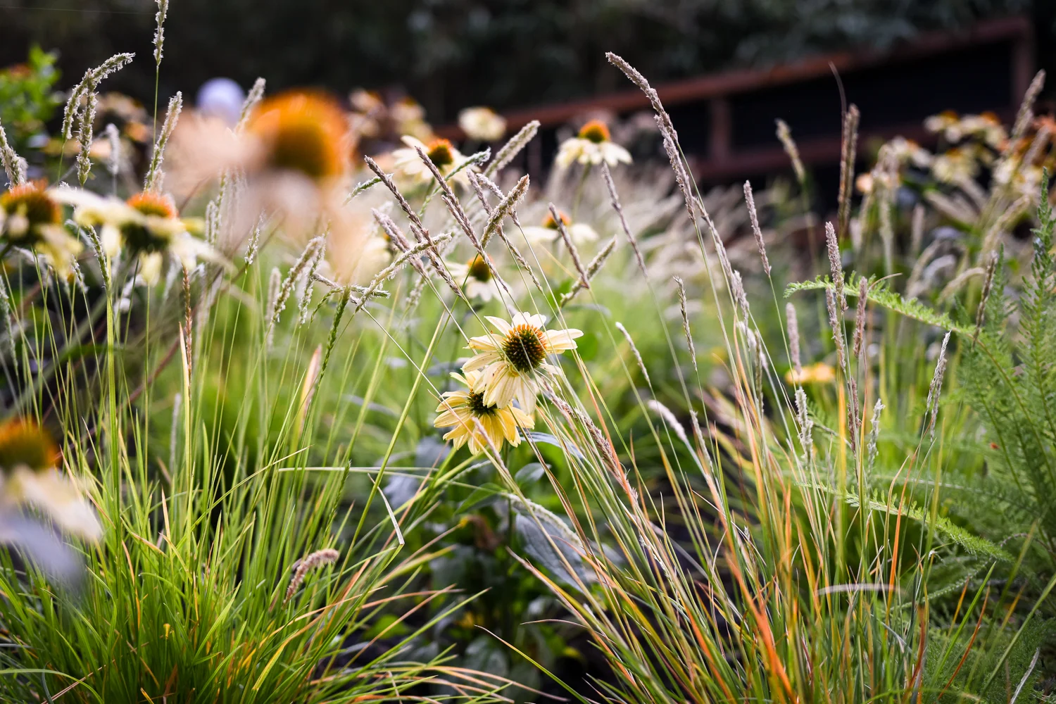 Willamette River - Pistils Landscape Design-13.jpg