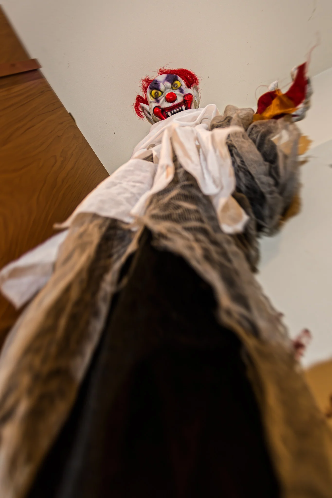 CarnsOween--2.jpg