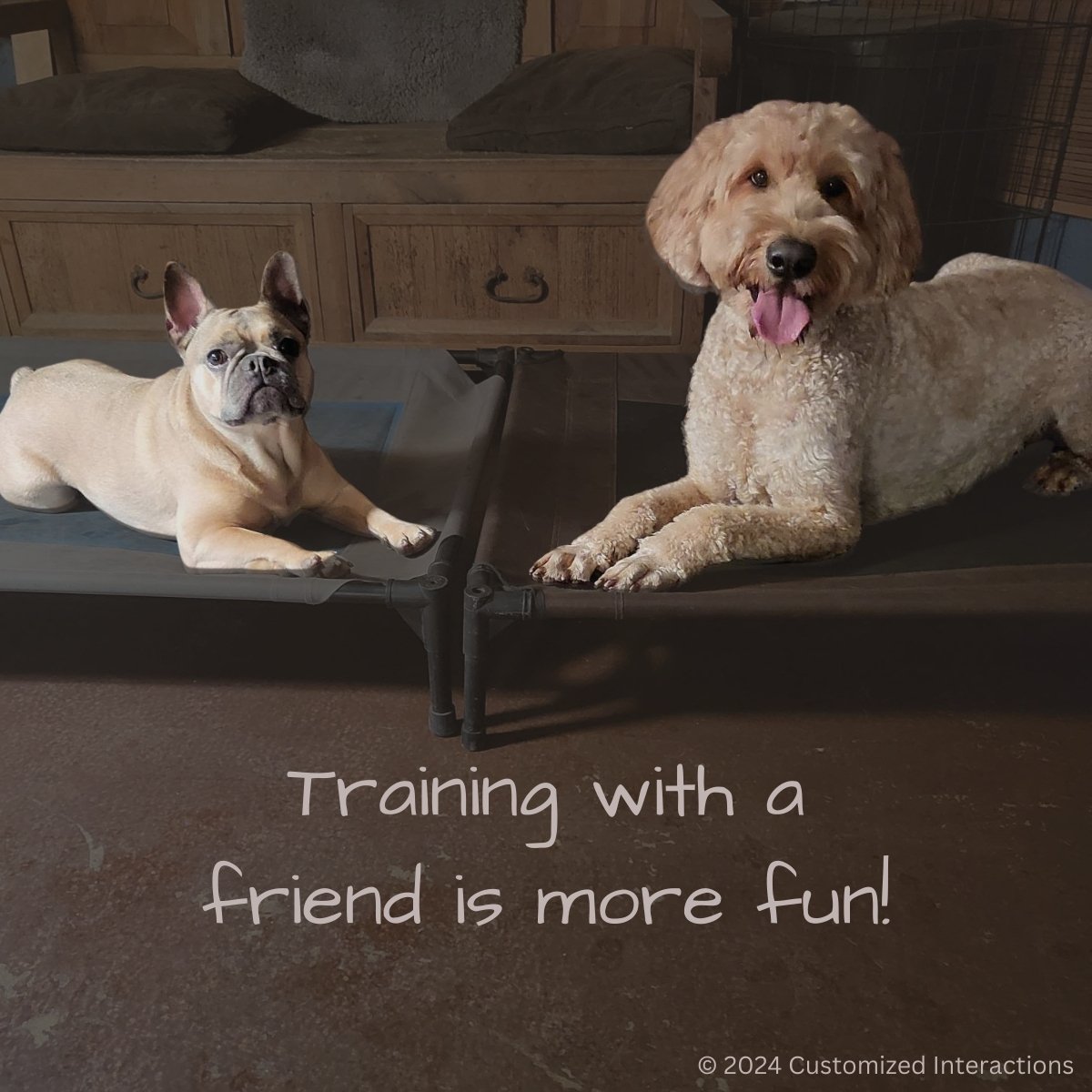 🐾 Discovering the Power of Learning Together