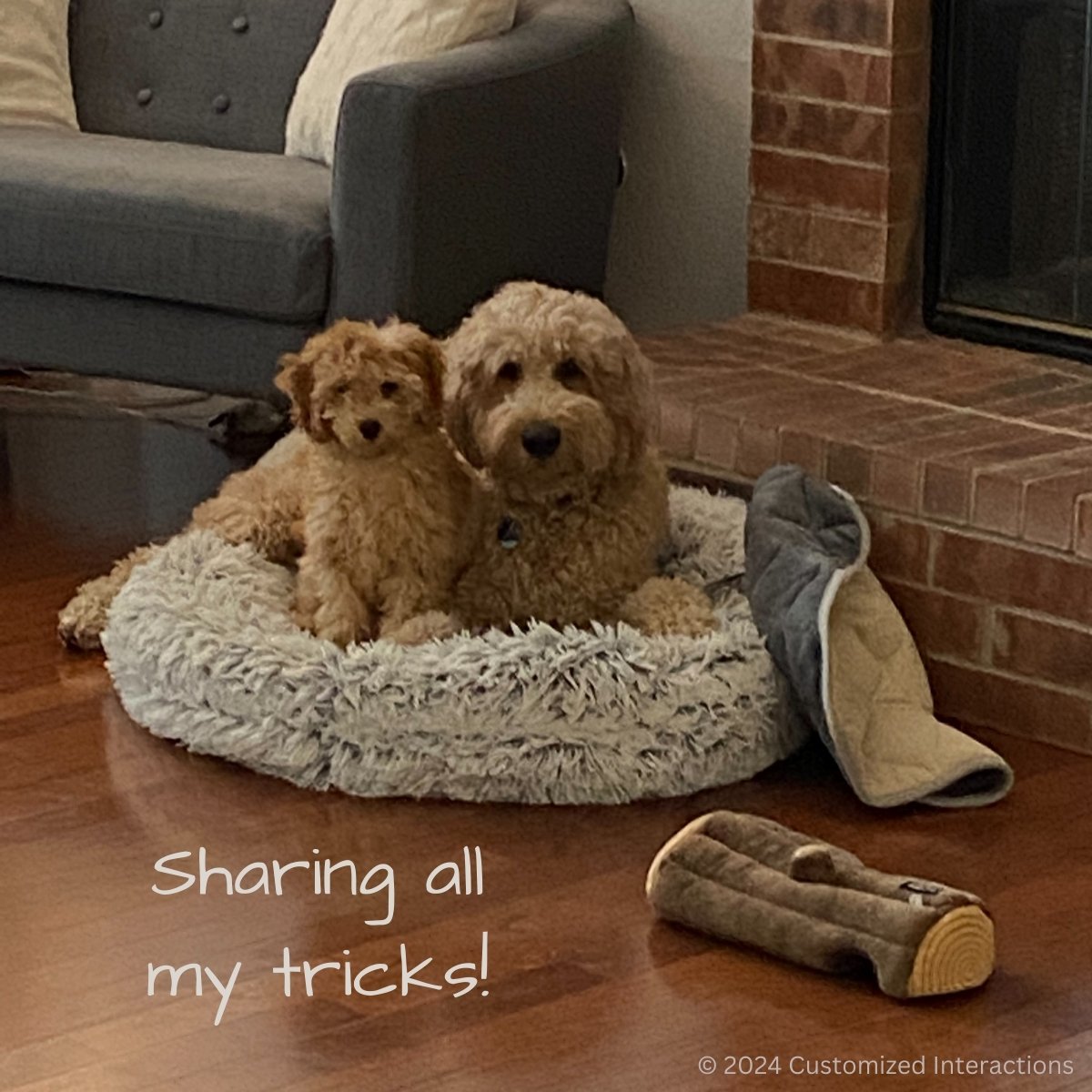 🐾 While we teach, we learn.