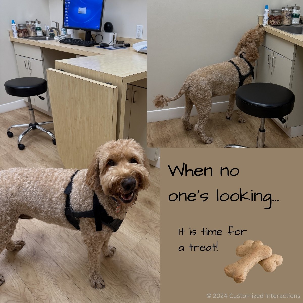 🐾 When no one’s looking…