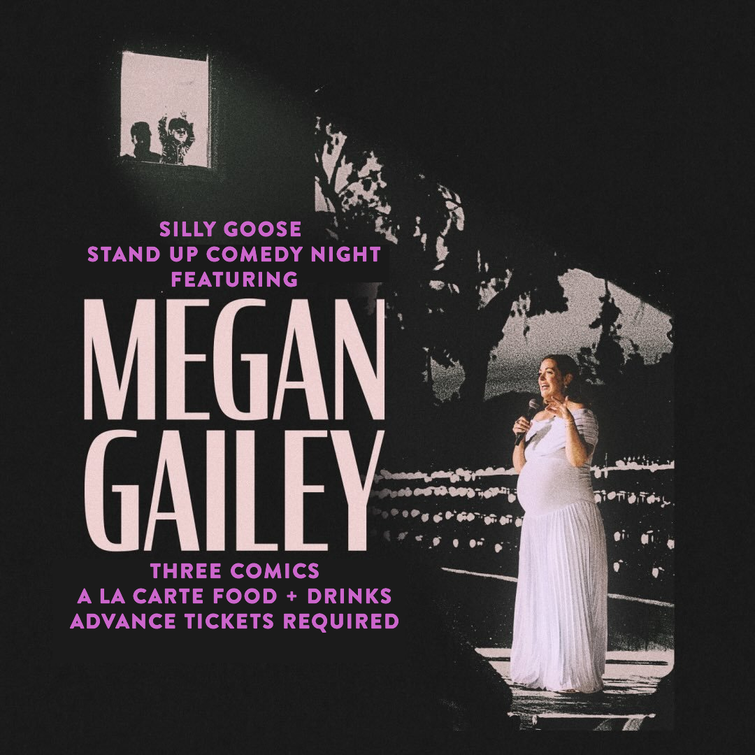 SillyGooseComedyNight.png