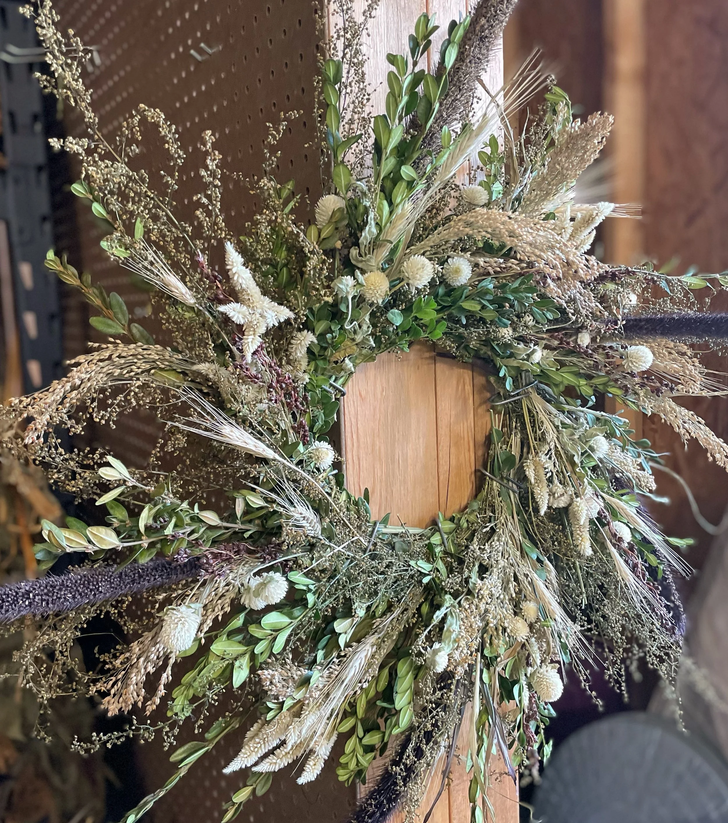 IMG_7888.jpg (Copy) (Copy)