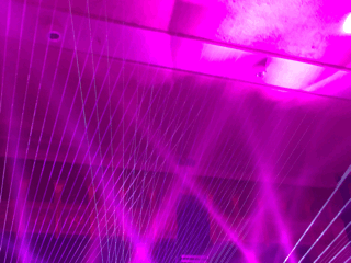 Lasers Small.gif