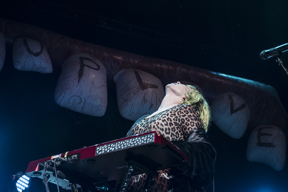 Grouplove-9.jpg
