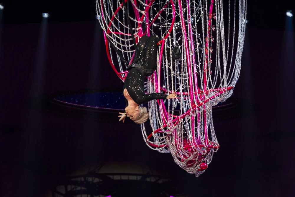 P!nk-006-6.jpg