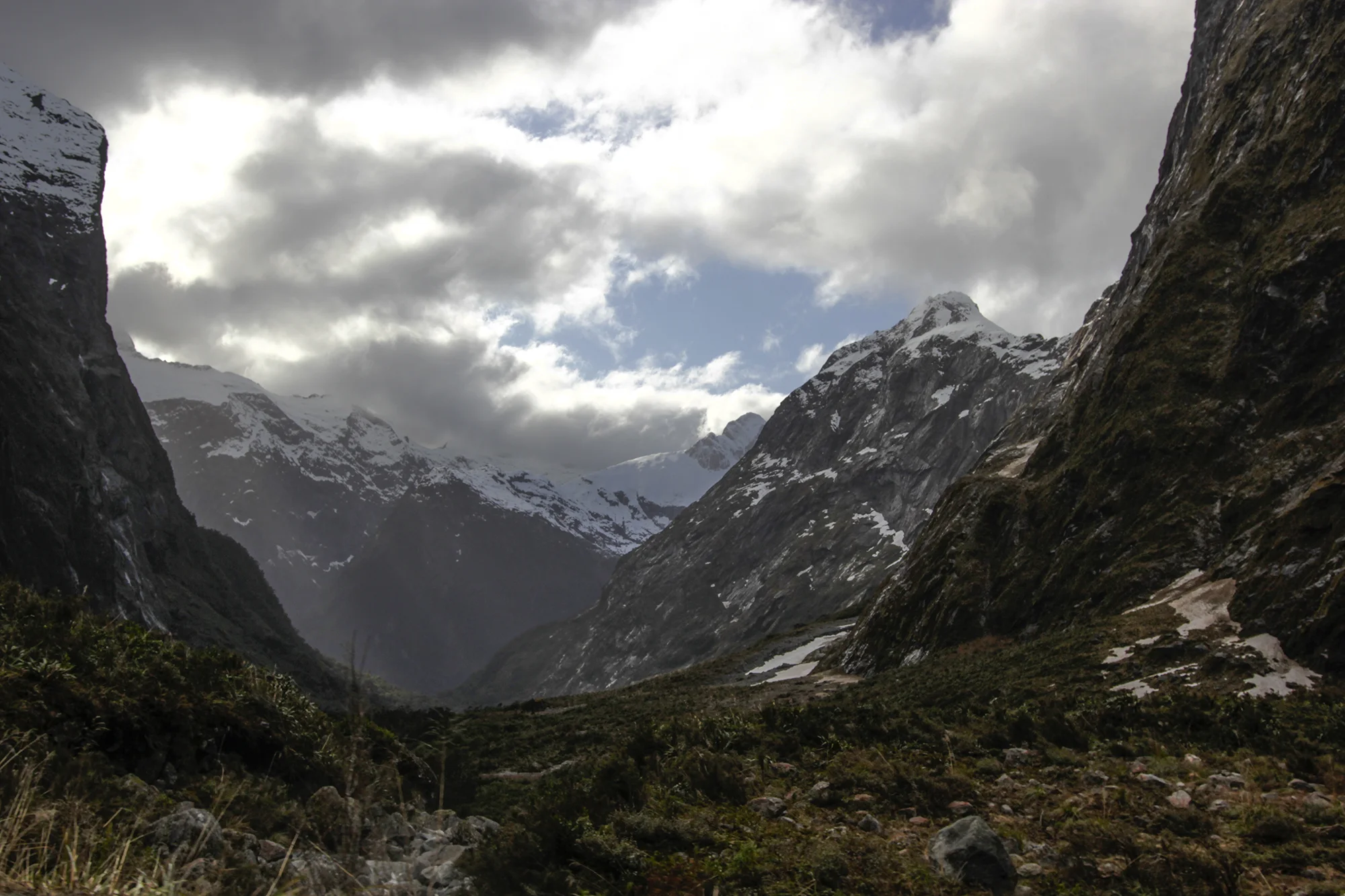 _MG_1603.jpg