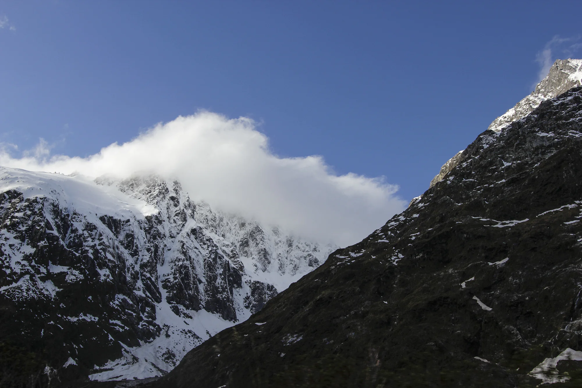 _MG_1615.jpg