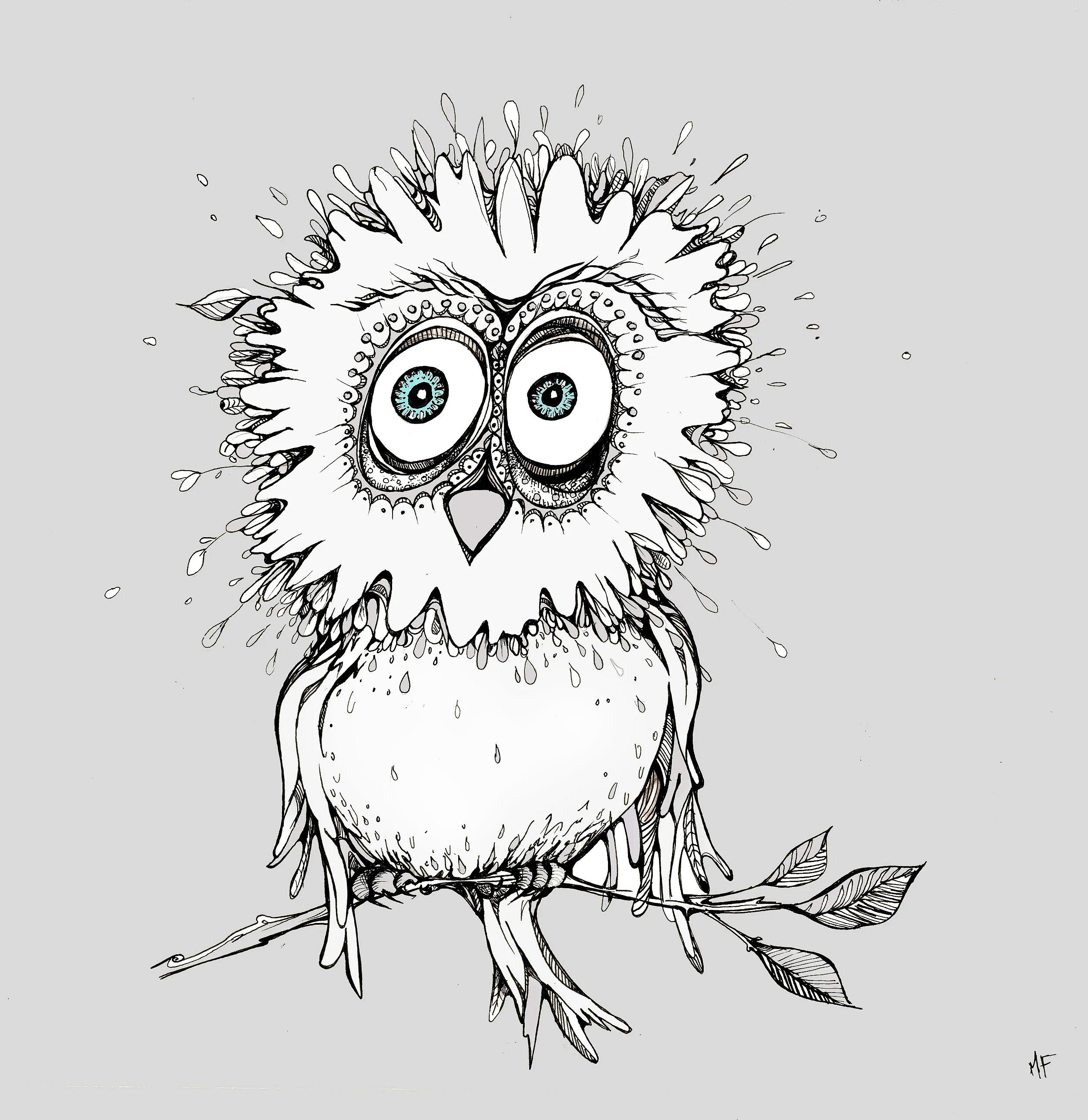 blue+eyed+owl-1.jpg