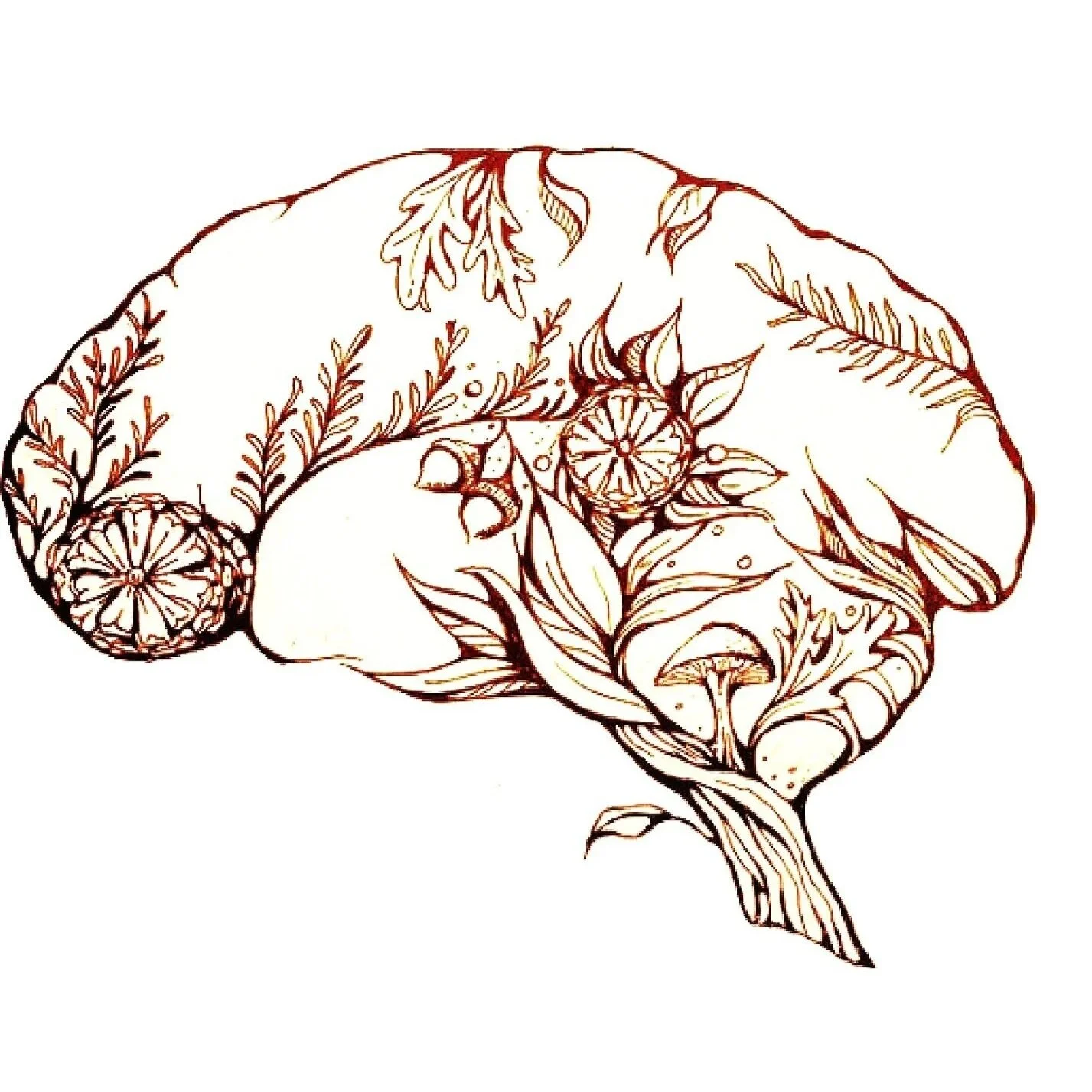 supplements &amp; neurologic disease