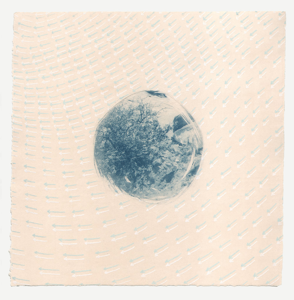 Barrios,+Indicator,+2015,+intaglio+type,+cyanotype,+10+x+10+in.jpg