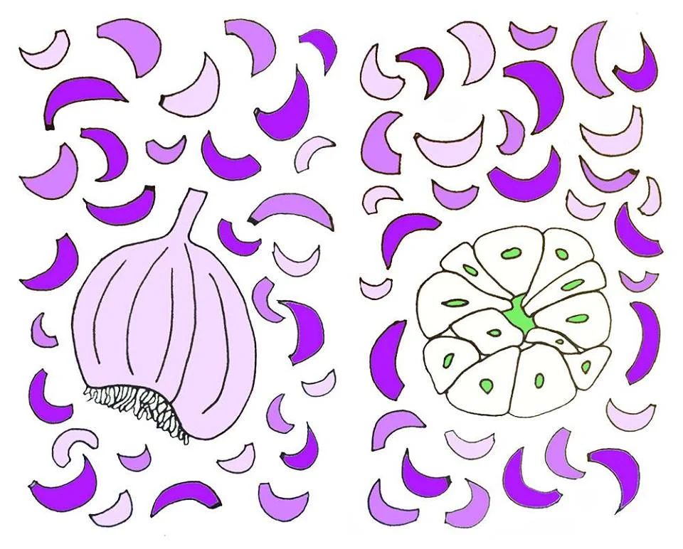26166882_2032985690277764_6127773612986956260_n.jpg