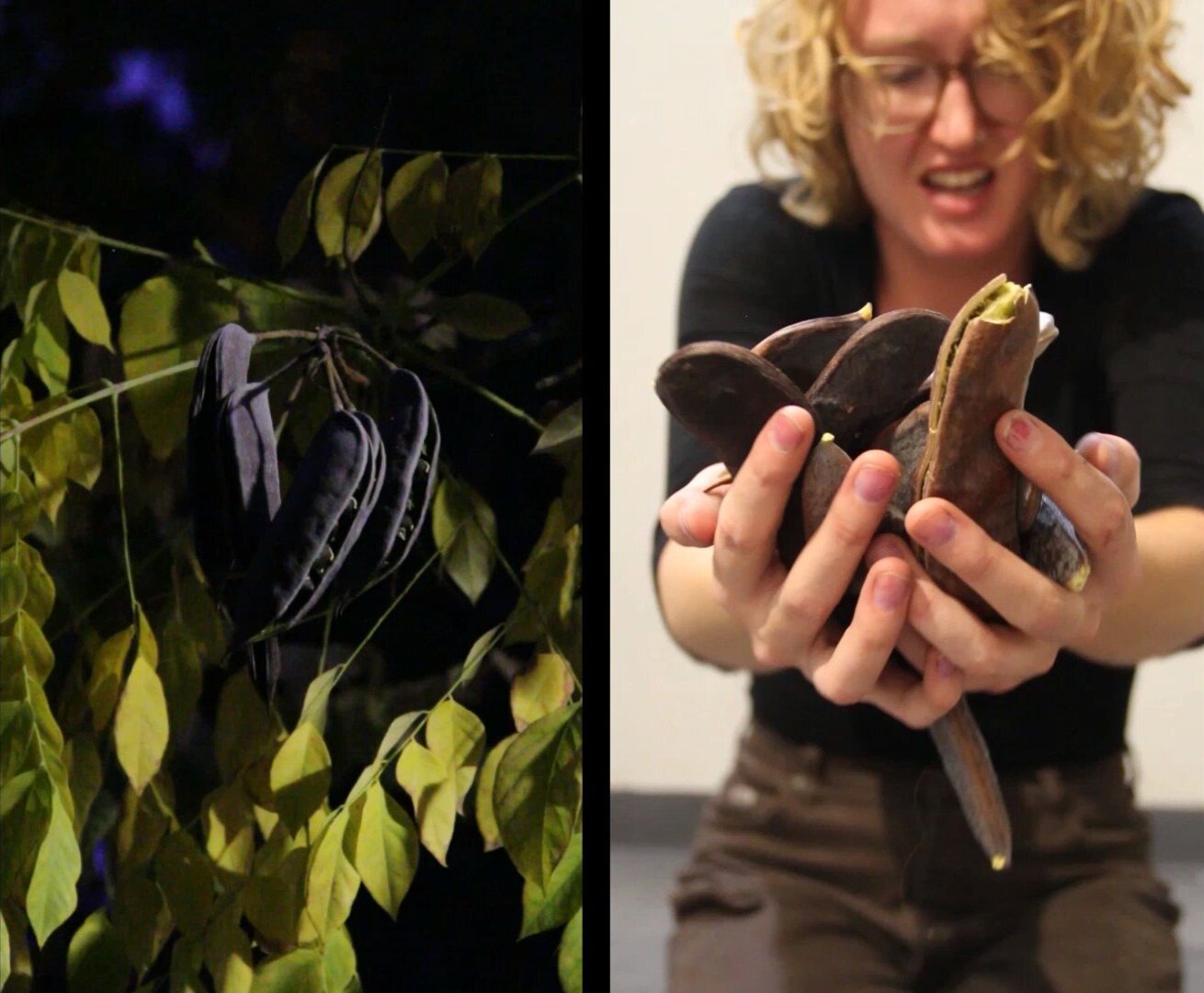 all that I have : Opening Reception