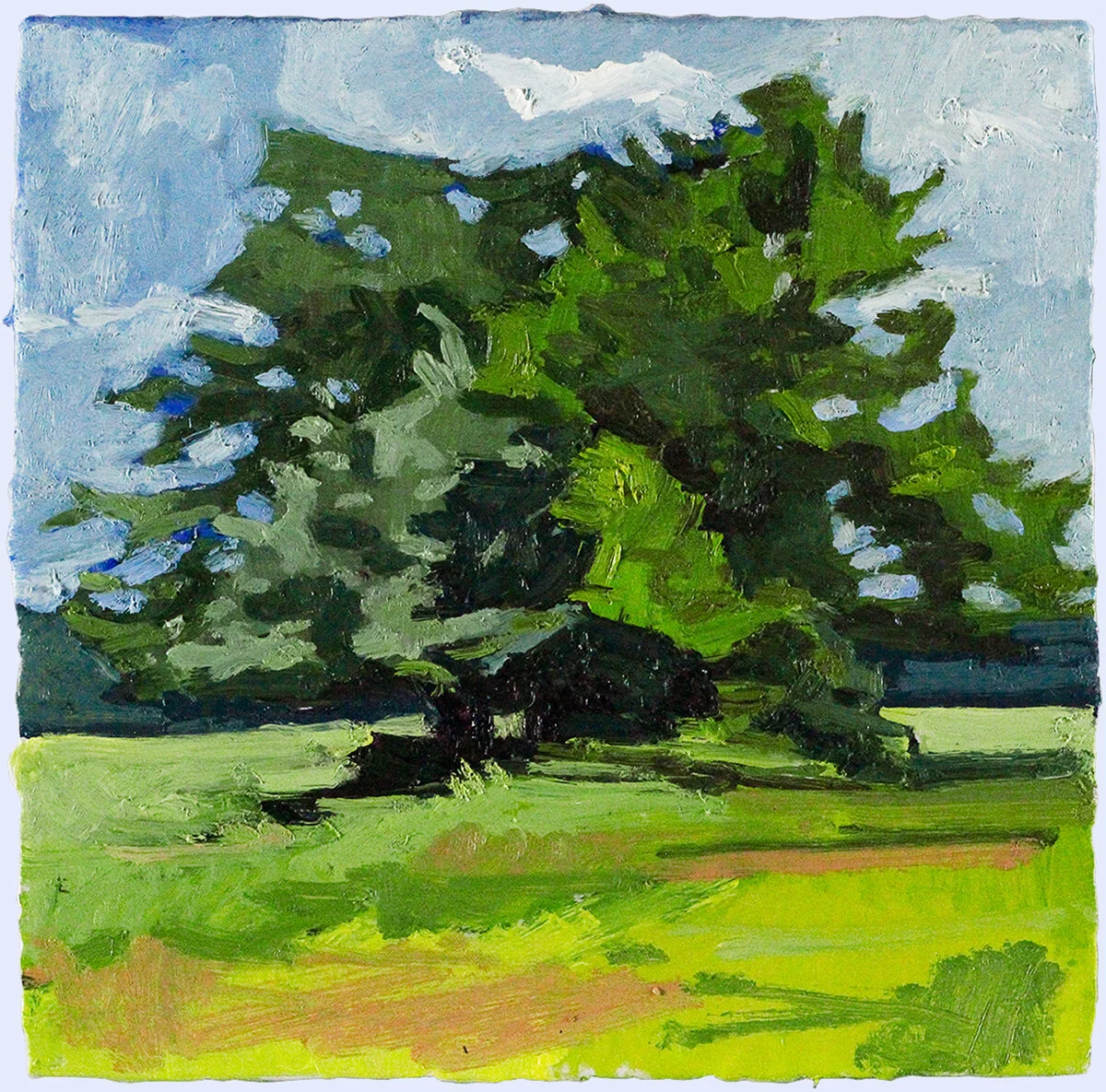 Trees in the pasture.jpg