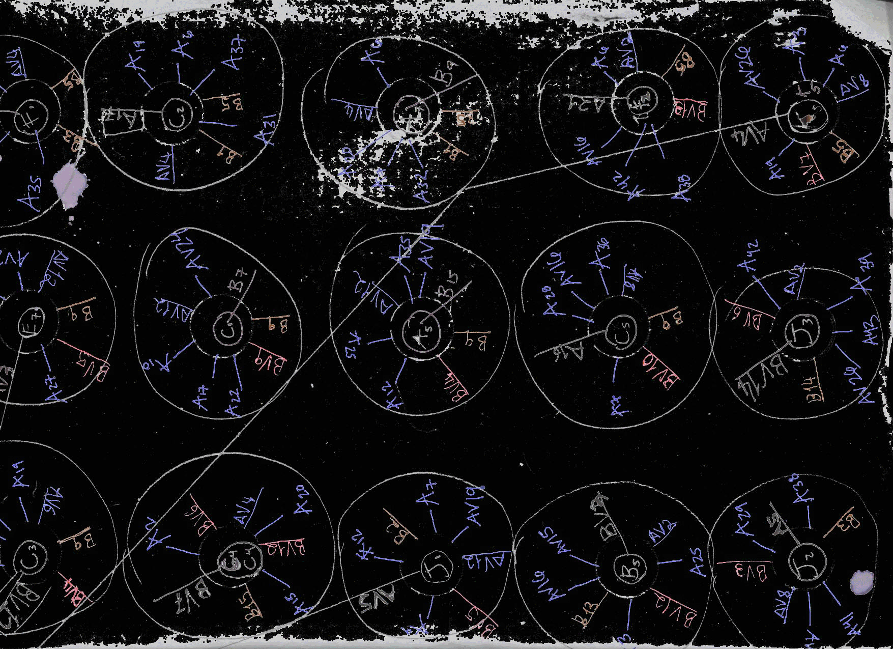   Detectives VLX &amp; RDZ 