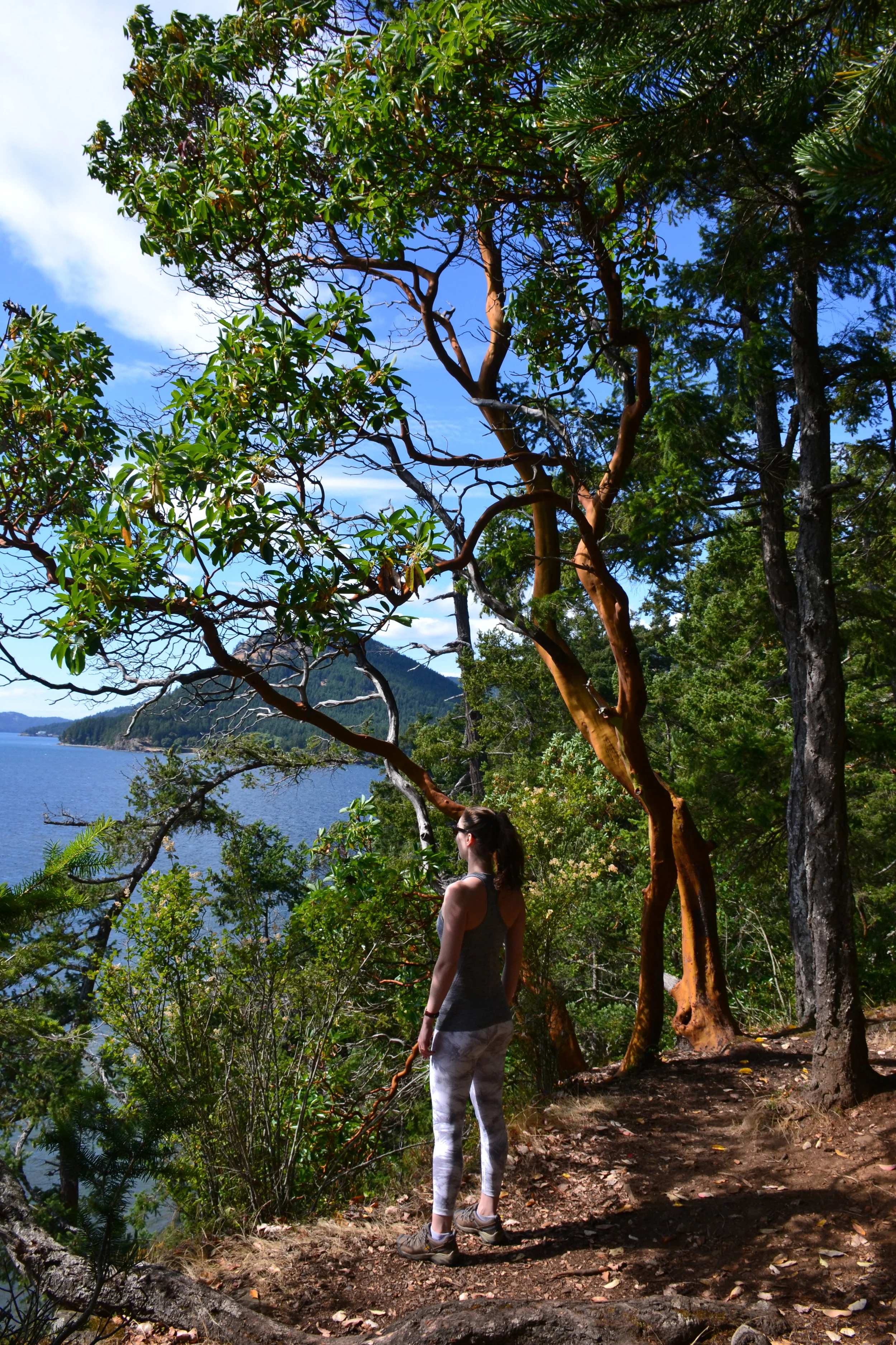ORCAS ISLAND