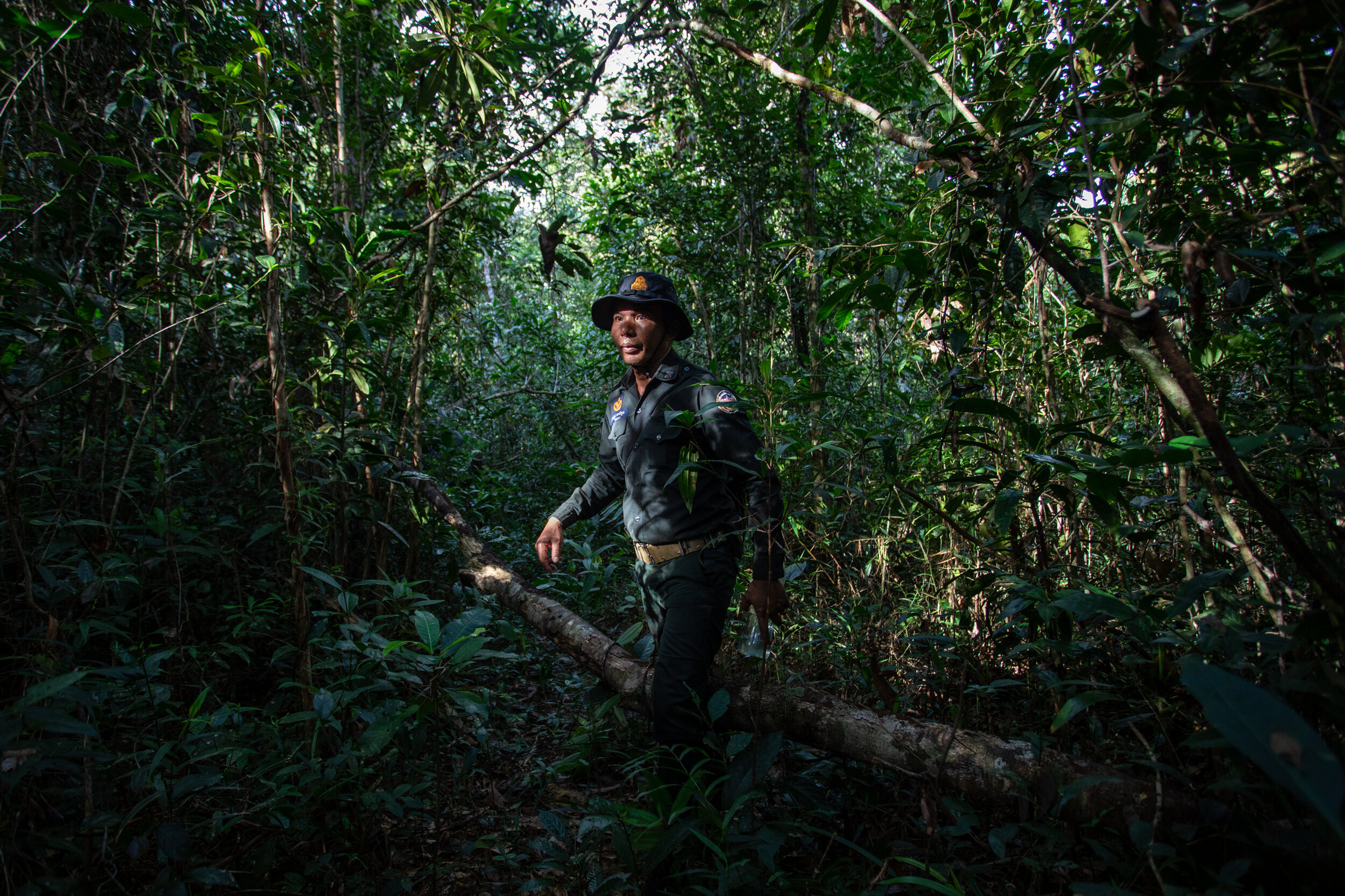  Ranger San Salem, 42, on a foot patrol deep inside the Cardamom Forest. This day's mission was tracking fresh signs of illegal loggers. While moving quickly through the forest, the patrol kept silent, listening for the sound of chainsaws in the dist