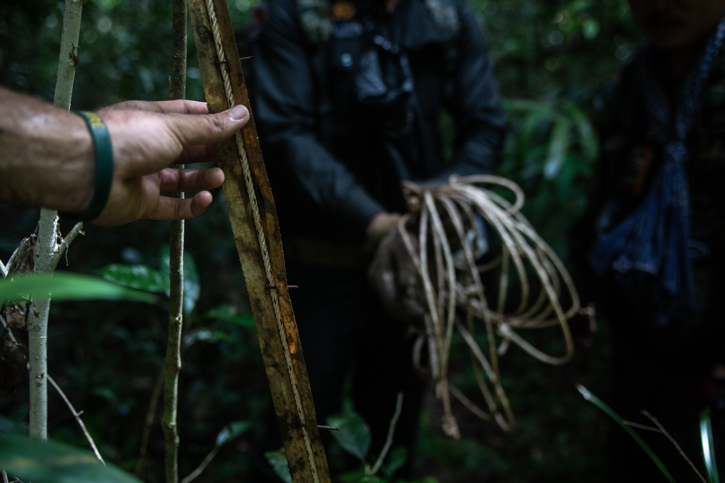  Wildlife Alliance rangers dismantle a snare intricately camouflaged by poachers to hide them from animals and patrols alike. This snare is hidden underneath a long leaf, pinned into shape by thorns from a palm tree. Another method used by poachers i