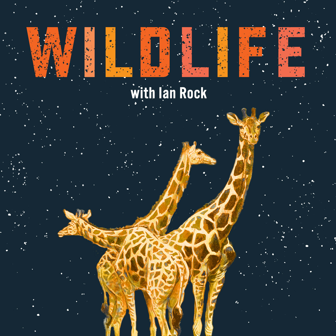 Podcast Wildlife with Ian Rock