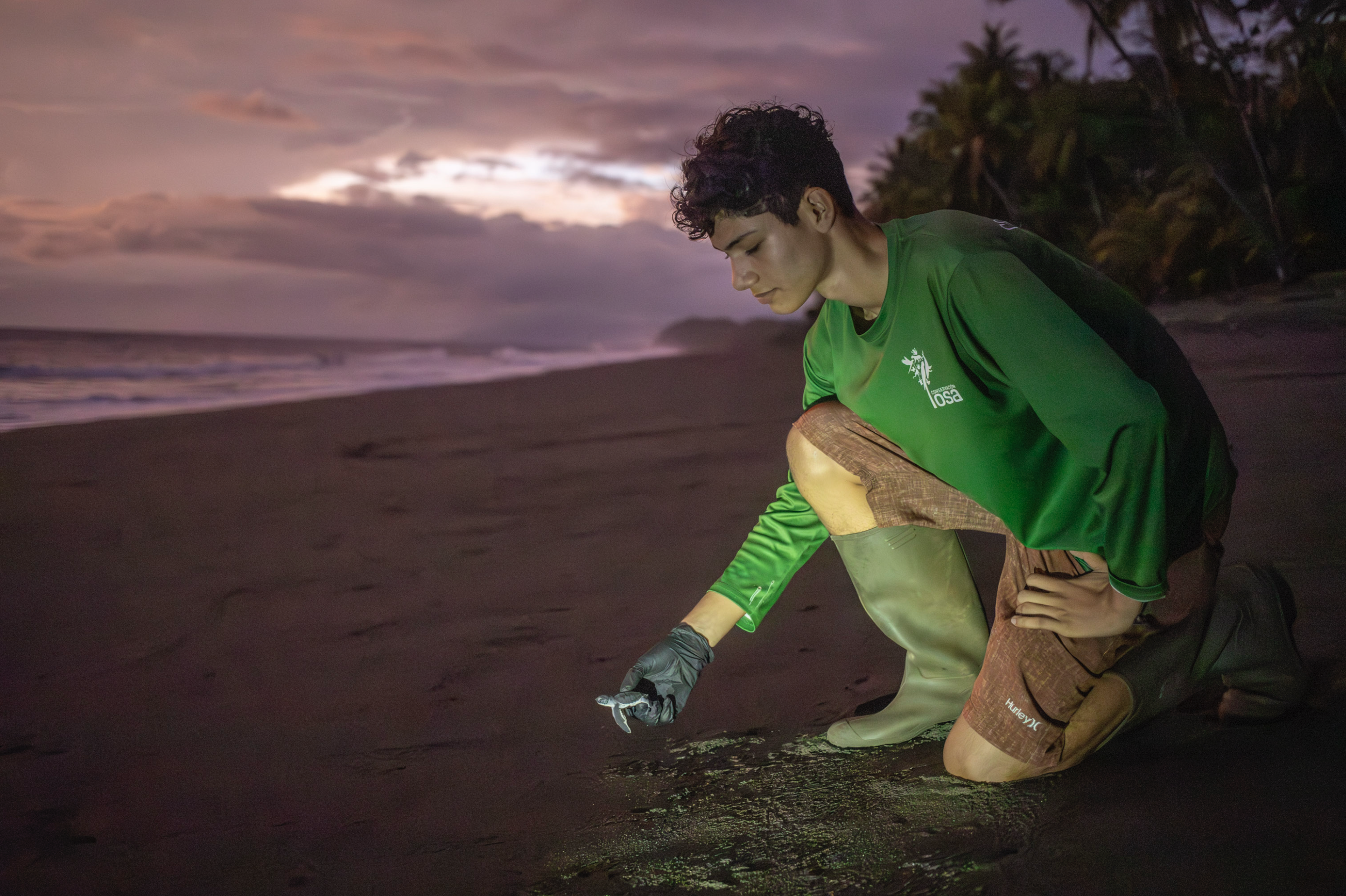 Joan releasing sea turtle.png