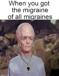 a956c216c79095dd97e73e64ae3ef534.jpg