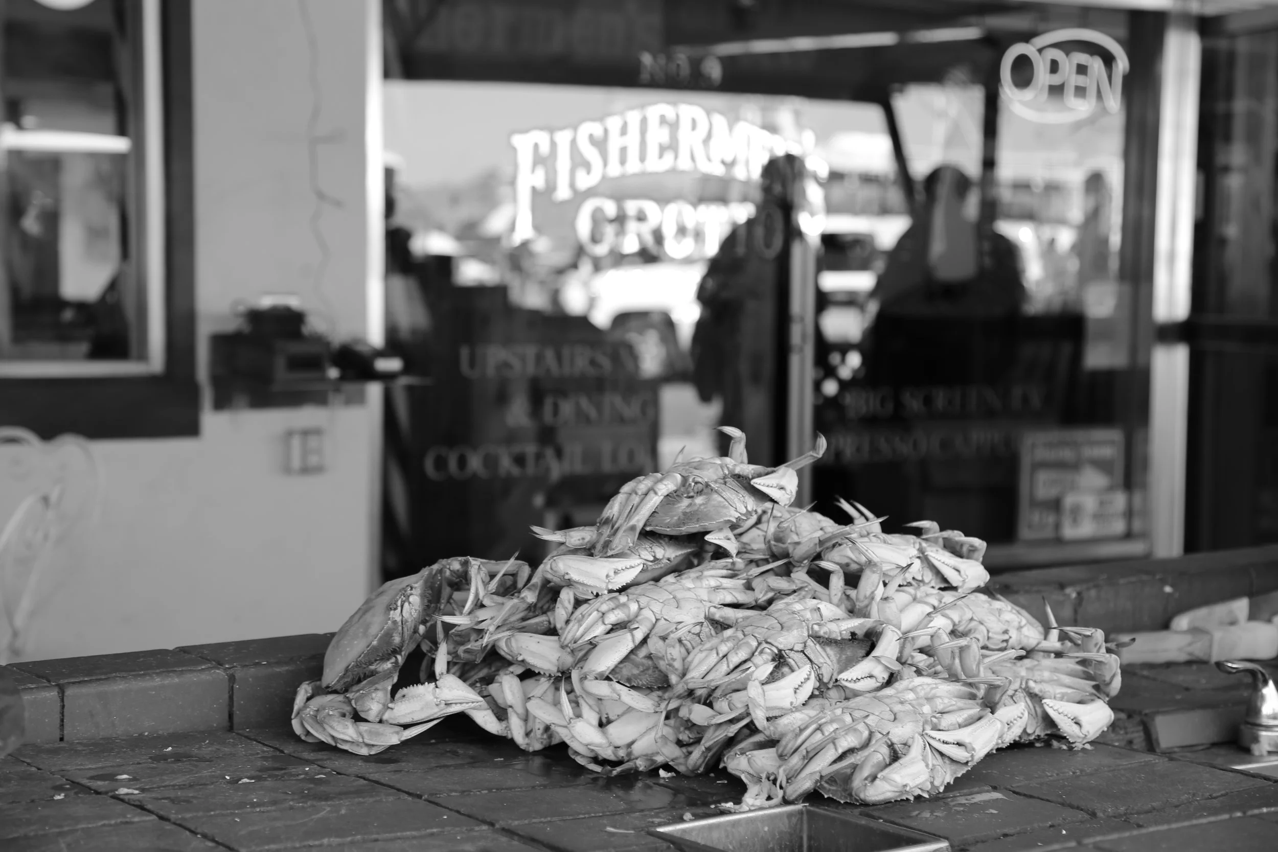 IMG_3913.jpg
