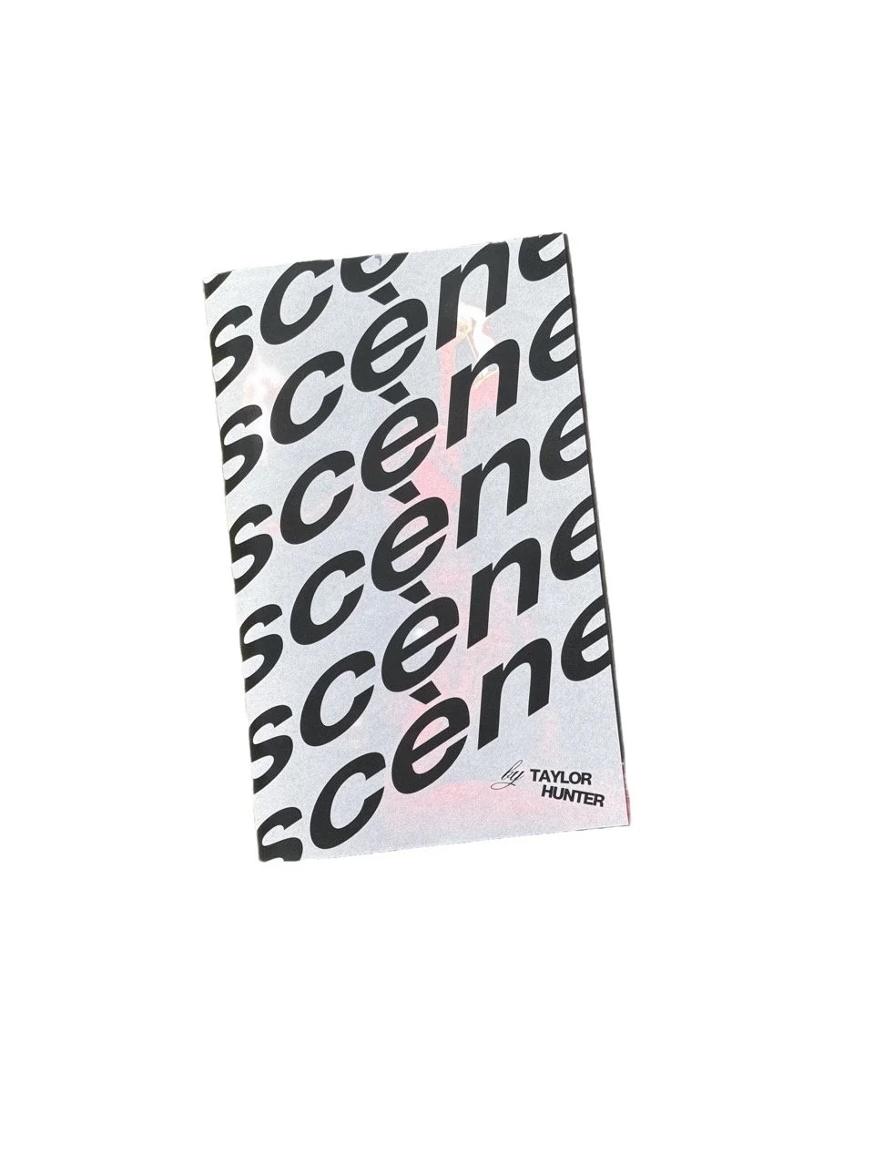 scene_zine Large.jpeg