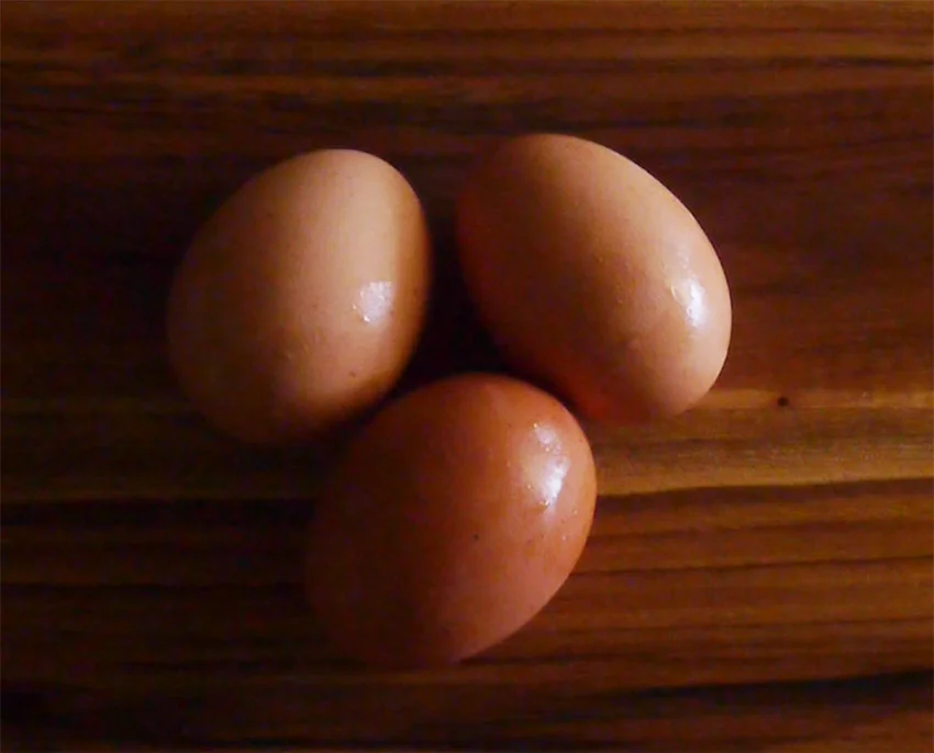 The Perfect Hard Boiled Egg