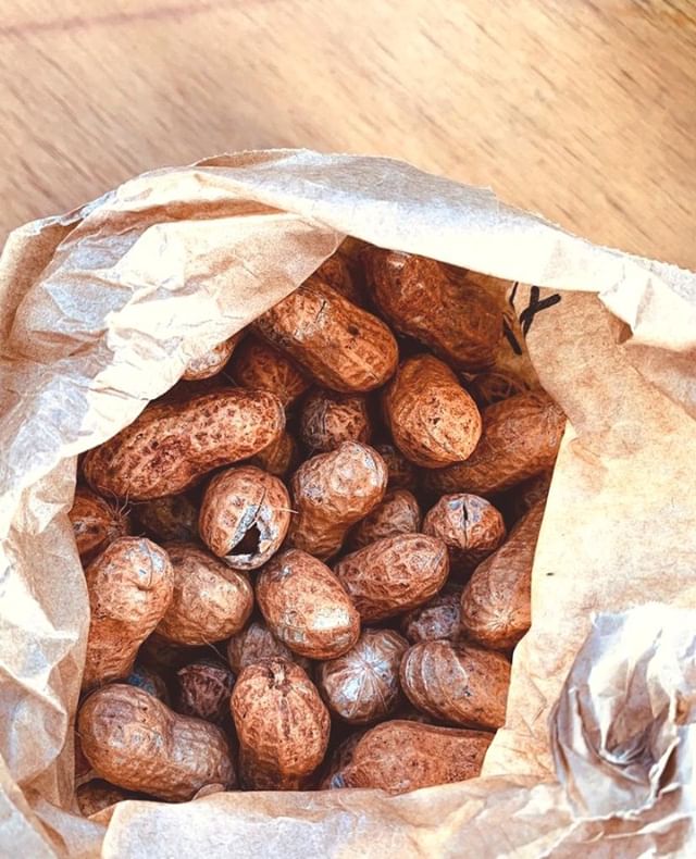 Throwback to that time we bought a bag of peanuts and the vendor checked with us three times to make sure we knew they were raw, not roasted, and did we still want to buy them... 🤔 Yep, food it's in original, nature-intended form will be a-ok, thank