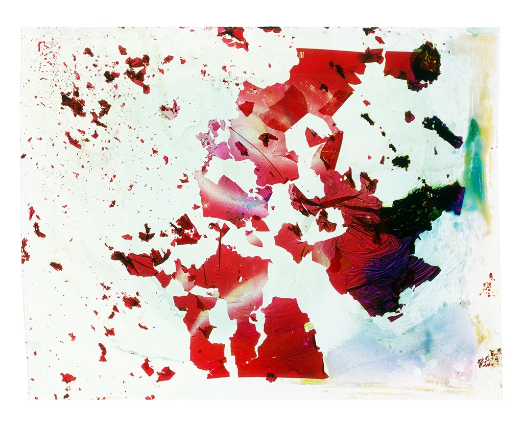 A Photograph of the Baby Boom Galaxy Eaten by Bacteria Found in My Father’s Saliva