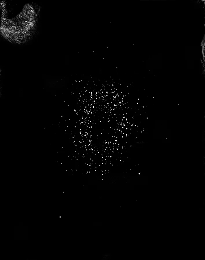 Bacteria Field #1