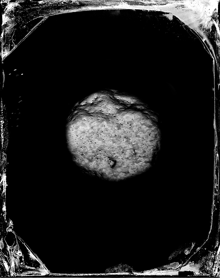 Unknown Bacteria