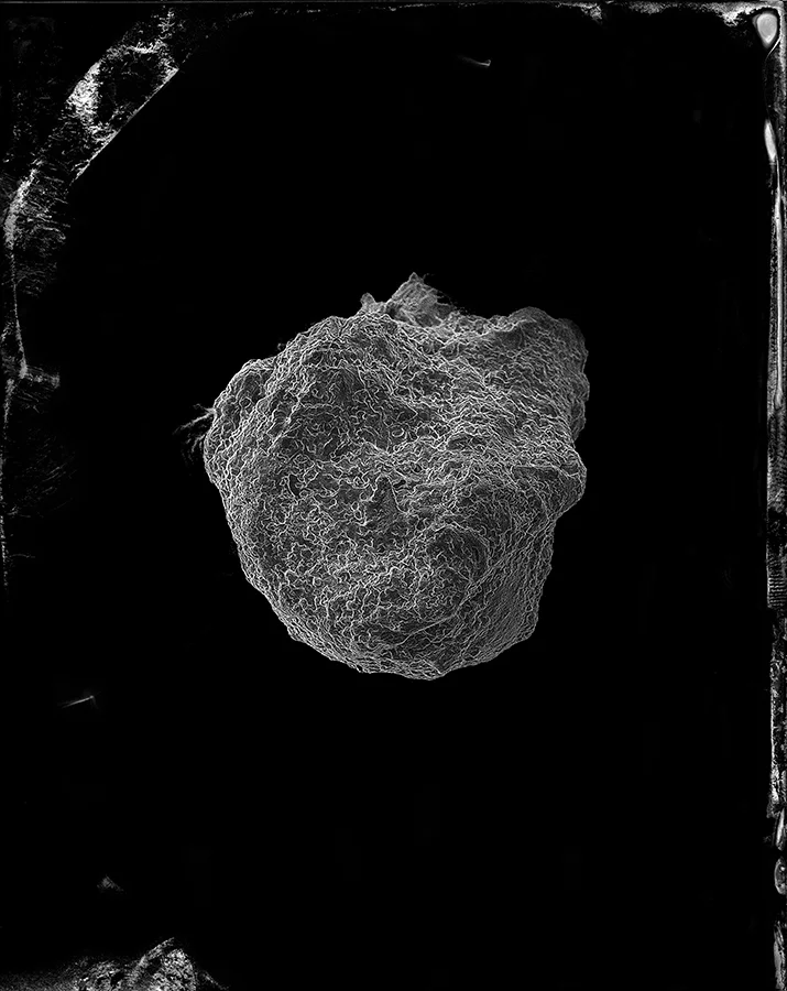 Earwax