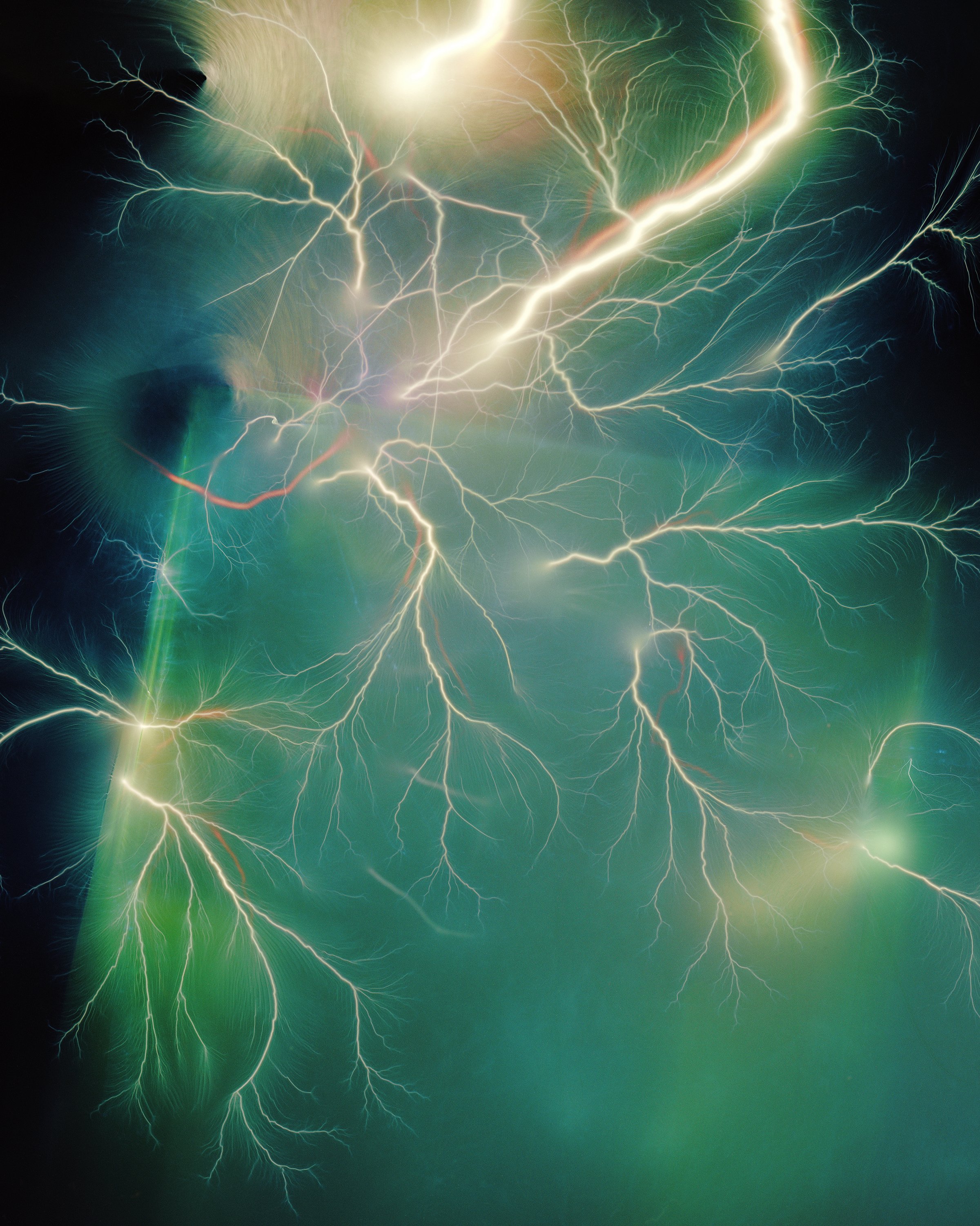 There Was No Internal Affairs Investigation 