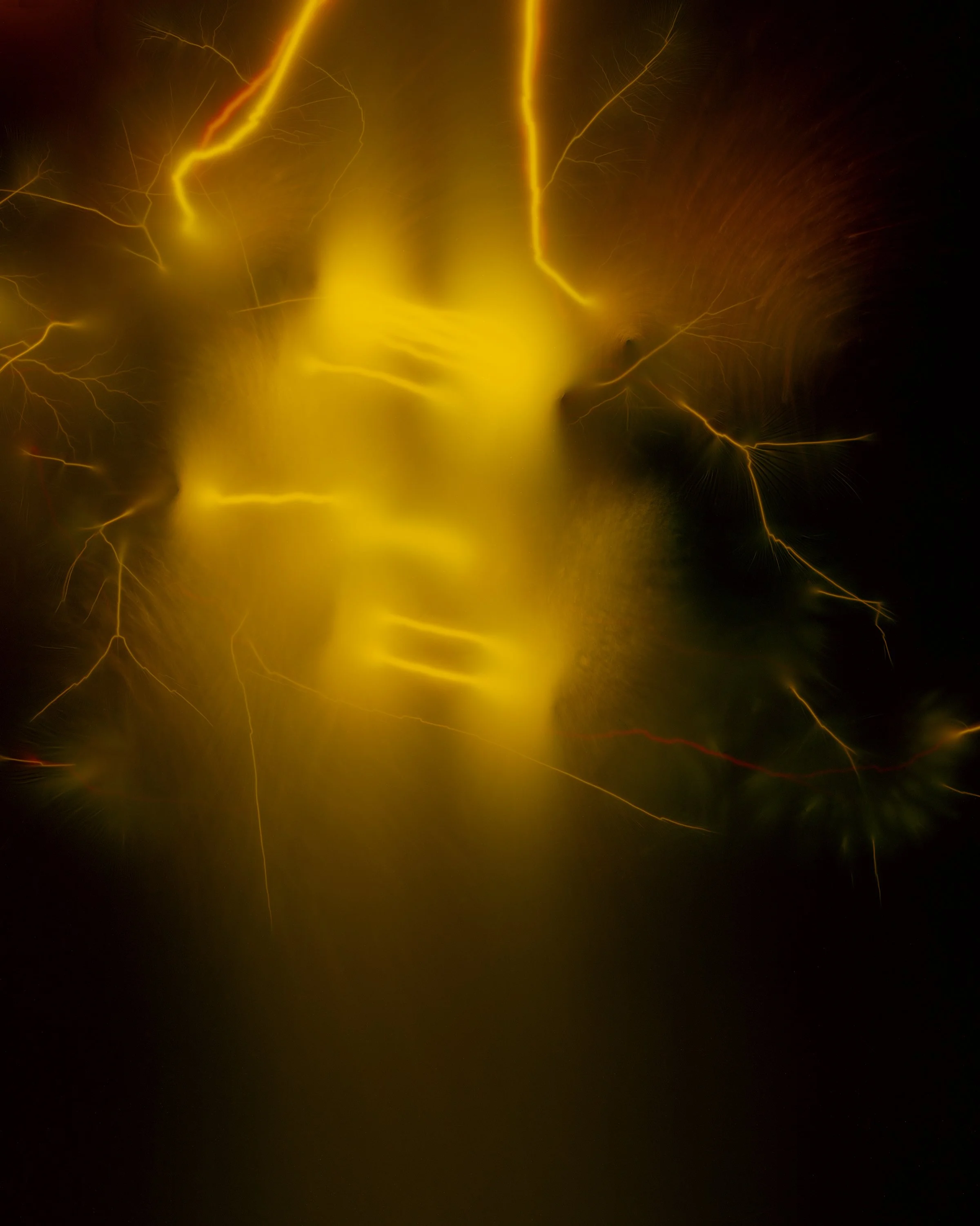 "Admission of Guilt by the Officer Isn’t Enough to Warrant Disciplinary Action"