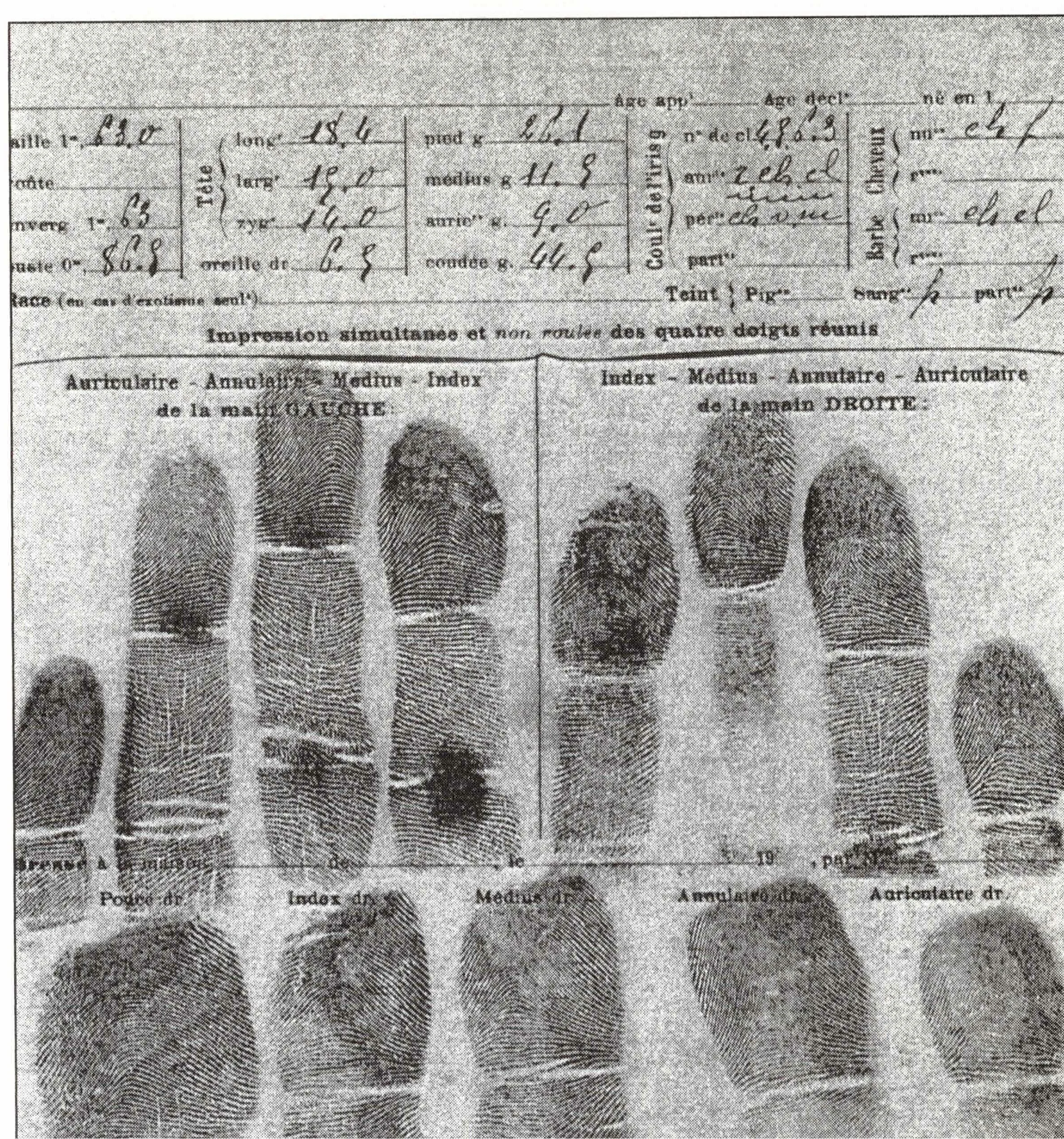 The Names We Gave Him