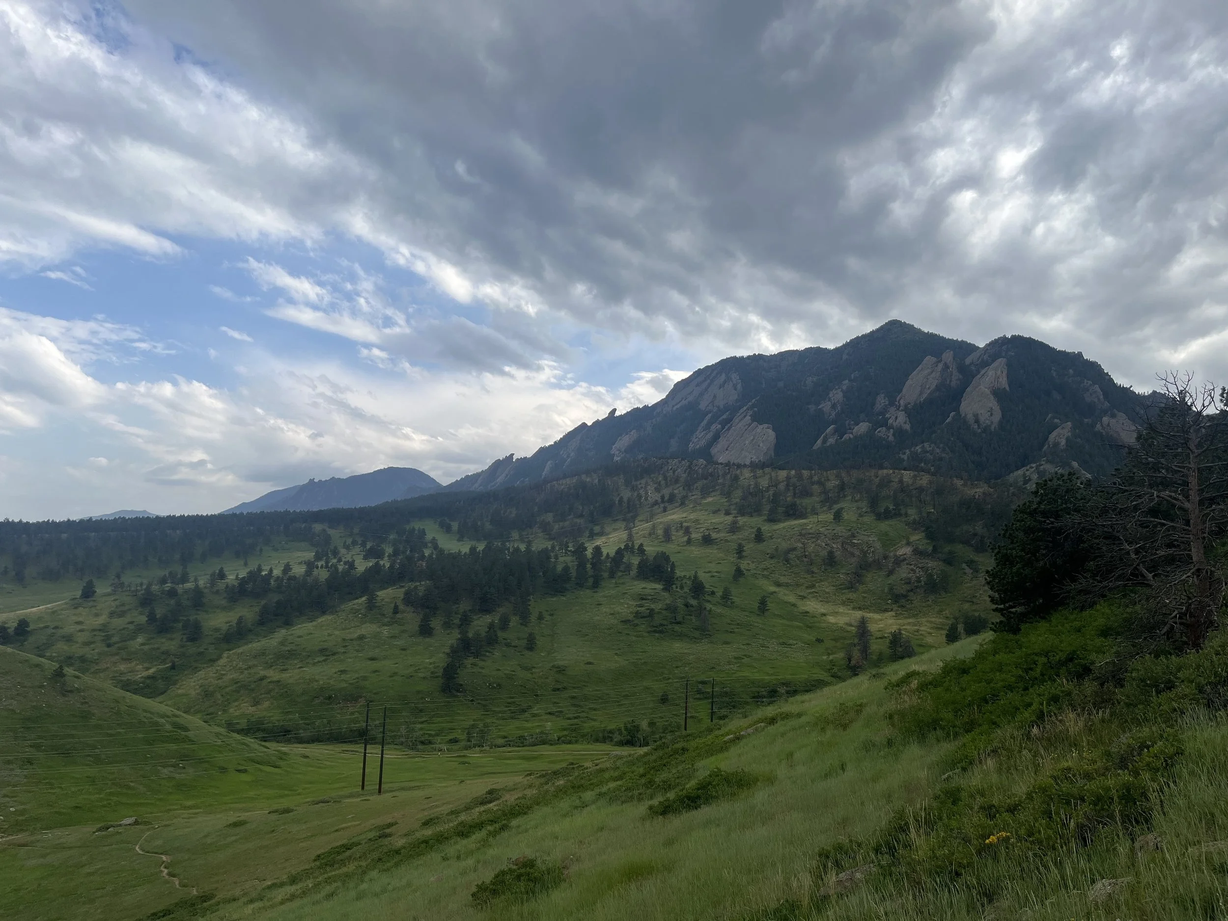 Sweet Endings: A Summer Recap