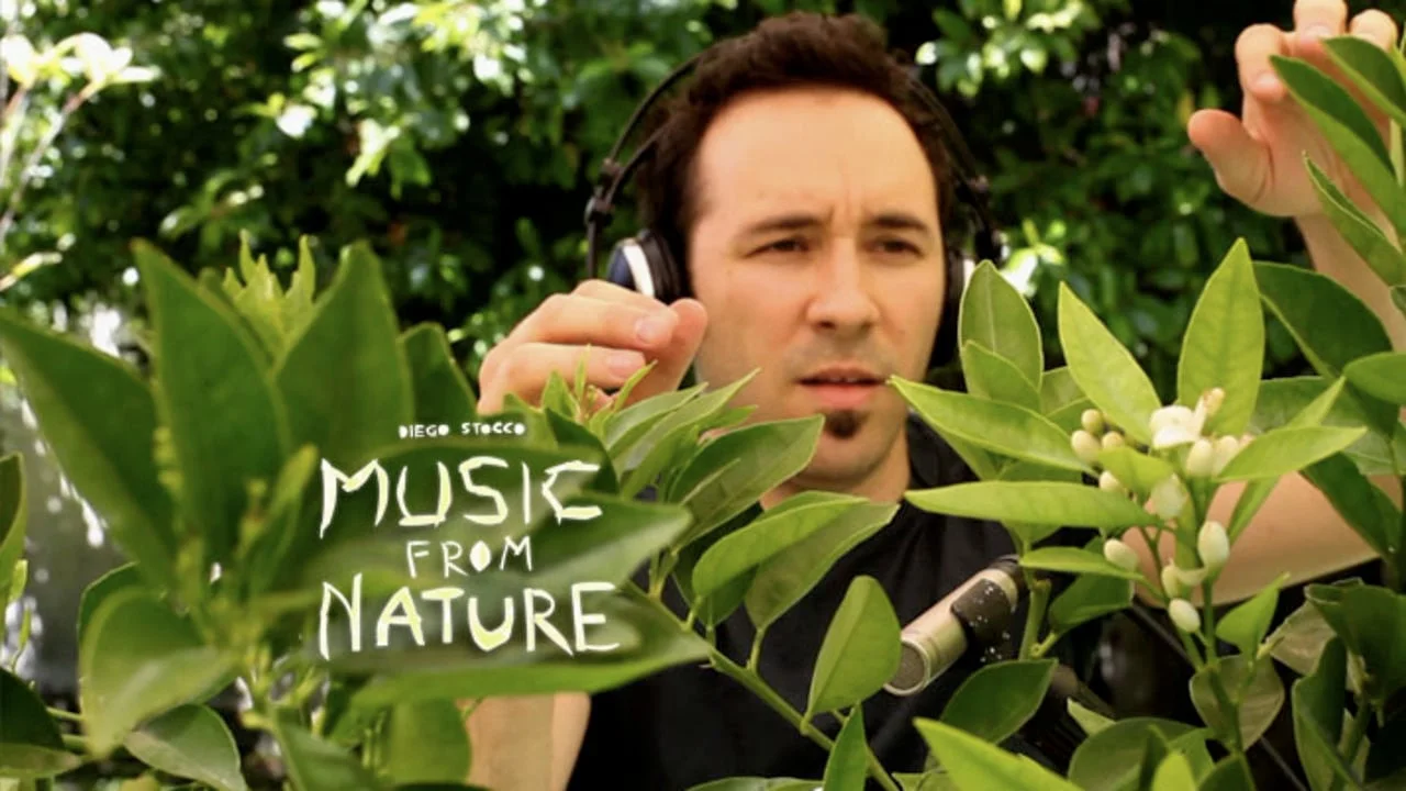 Music from Nature