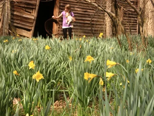 springtime