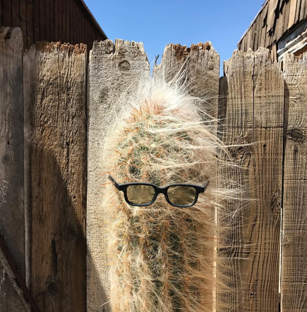 My Summer Travels: Desert Edition