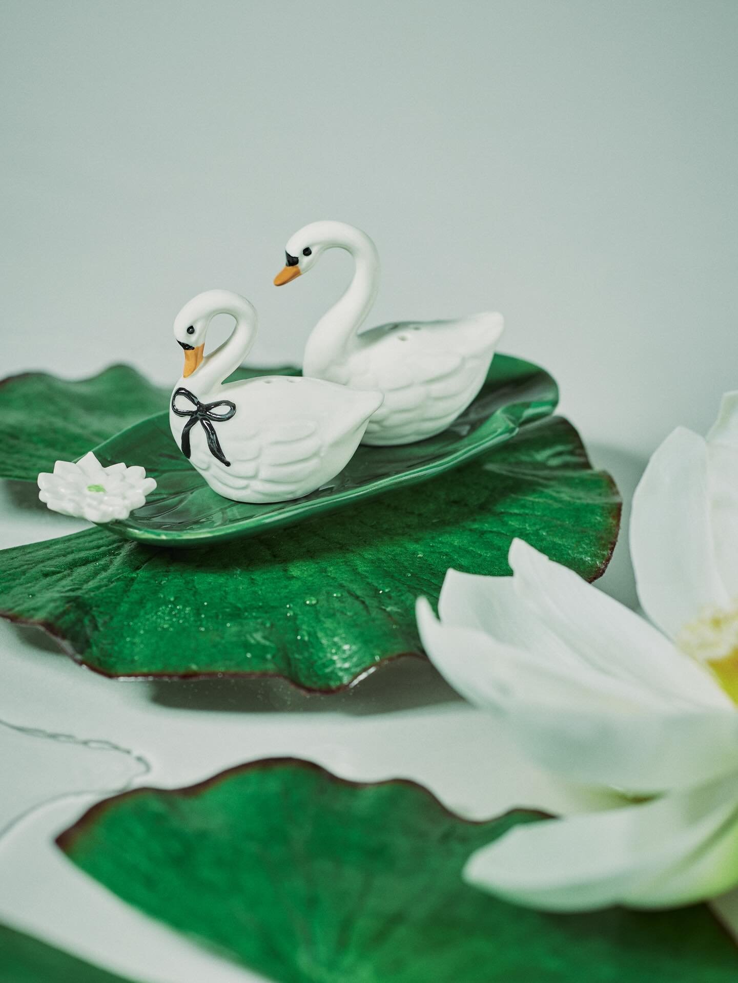 pond shop 🦢 

w/ @halligannorris and @acbatog 
for @anthropologiehome

*I had to crop a few images to fit here. Boo. See full crops and more images from this shoot on my website. Link in bio.